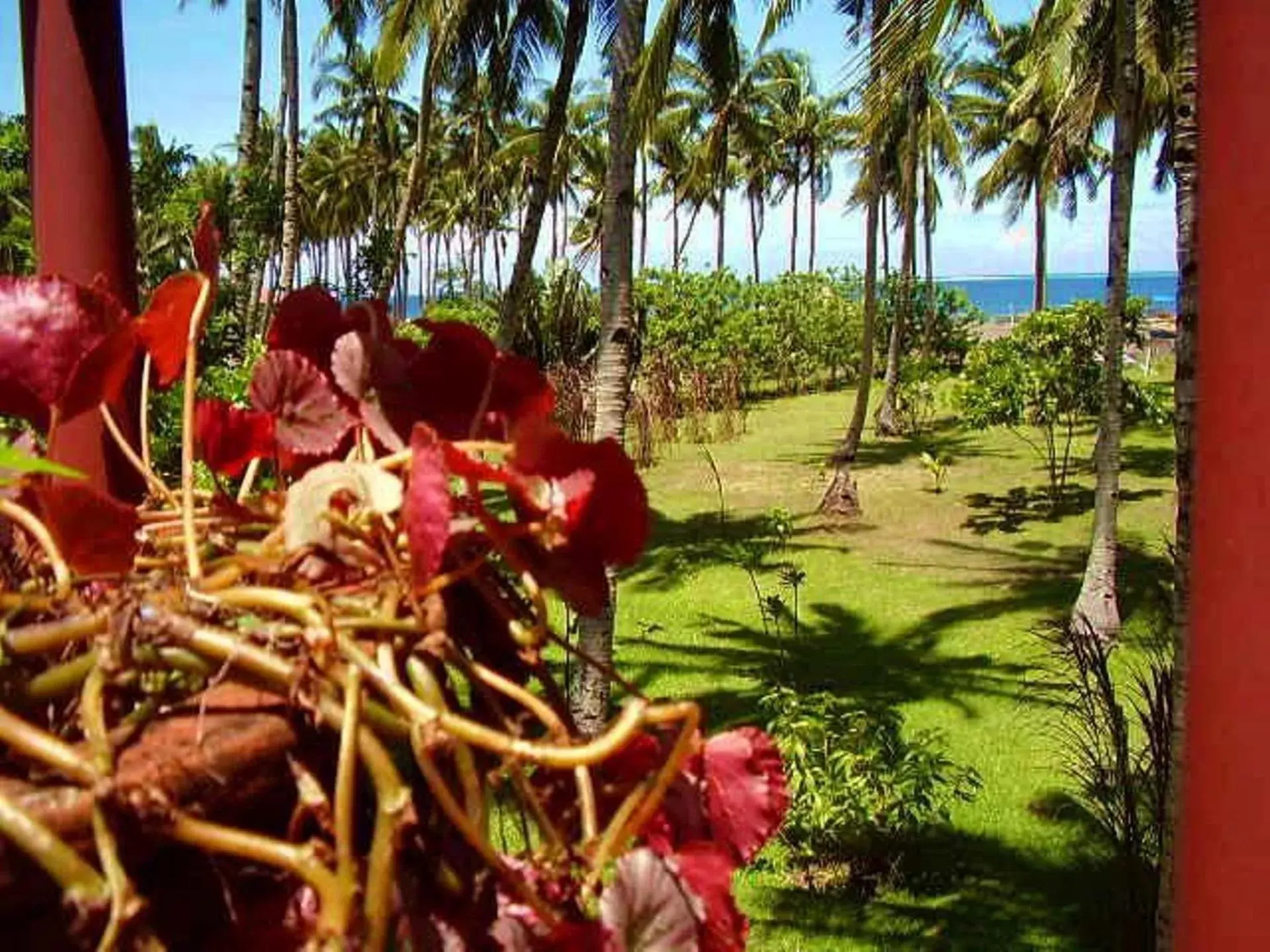 View (from property/room) in SomeWhere Else Boutique Resort