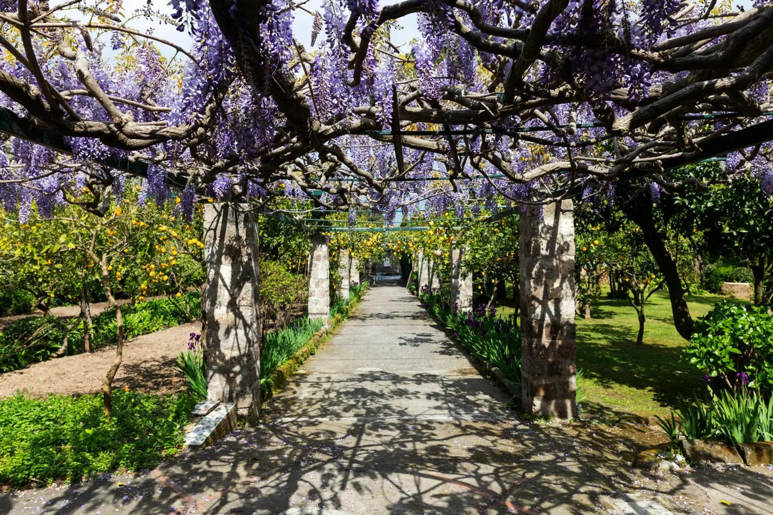 Garden in Grand Hotel Cocumella