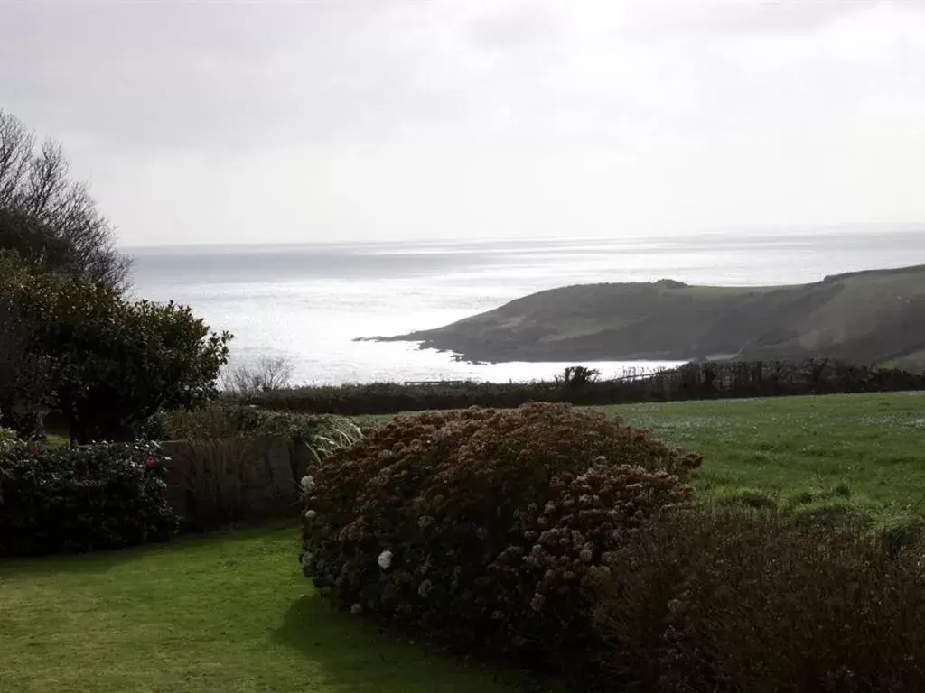 View (from property/room), Garden in Trelawne Hotel