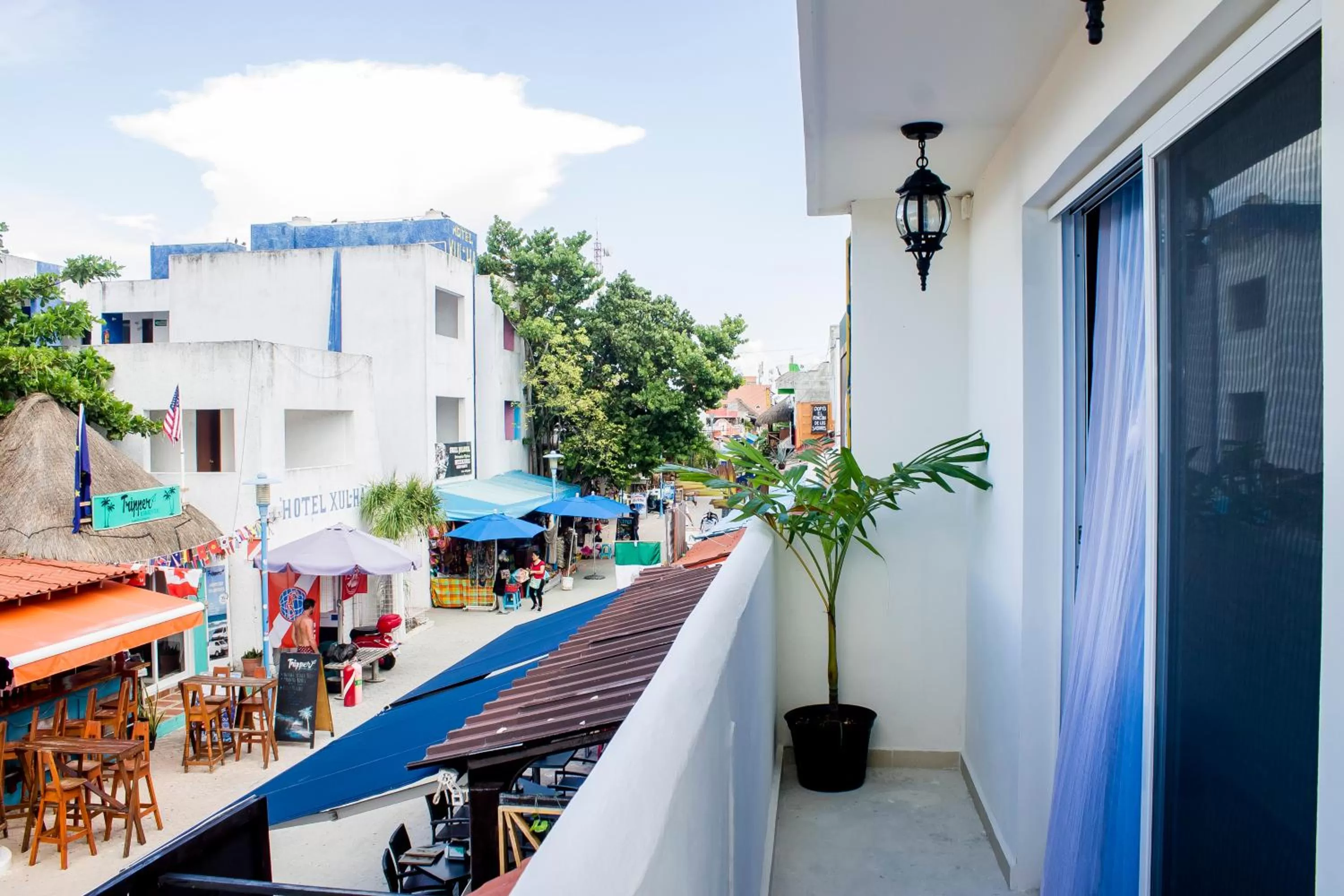 Pool View in Hidalgo Boutique Rooms