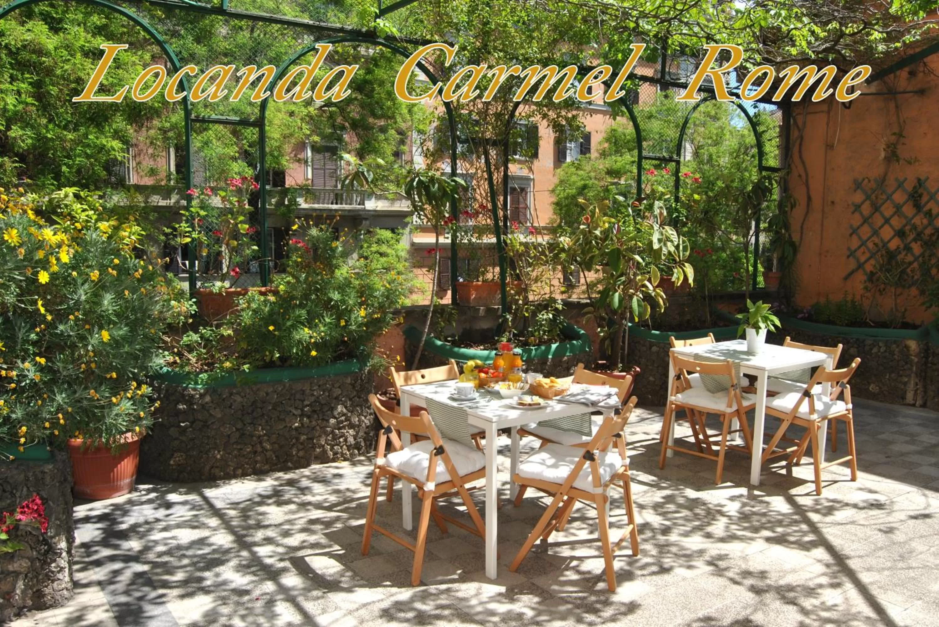 Balcony/Terrace in Hotel Carmel