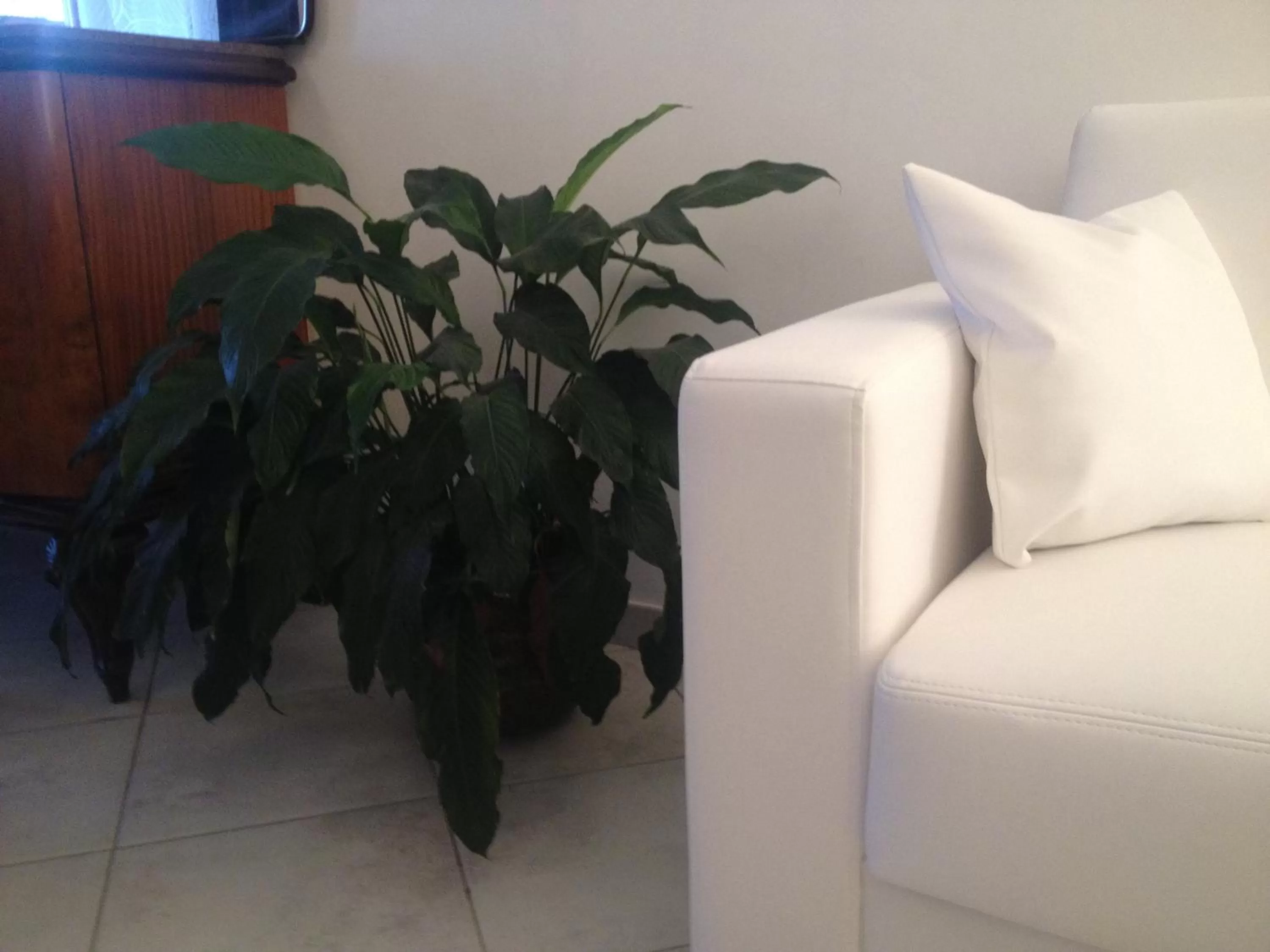 B&B Via Roma suite - Ortona Rooms