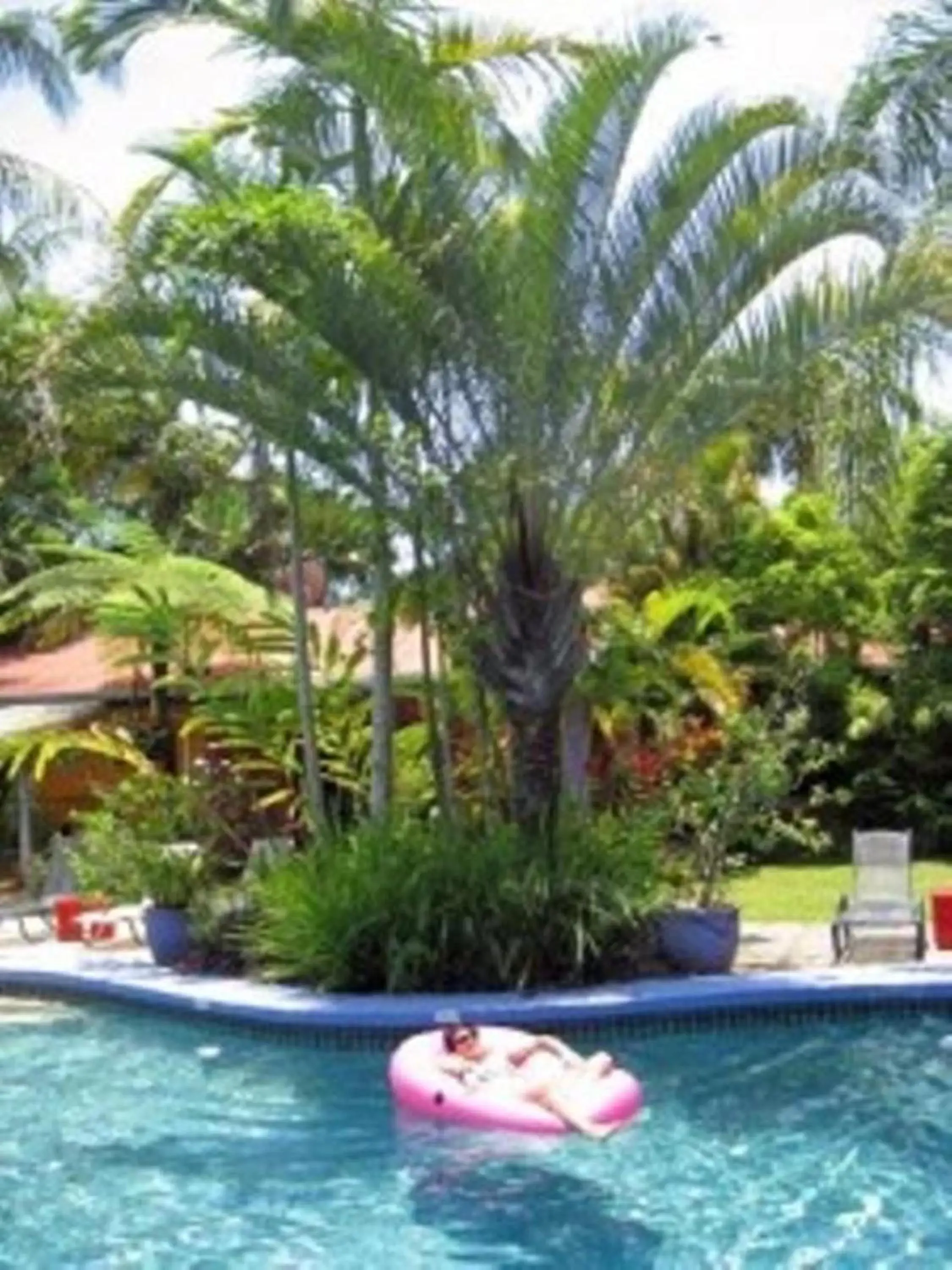 Swimming pool, Garden in Pink Flamingo Resort