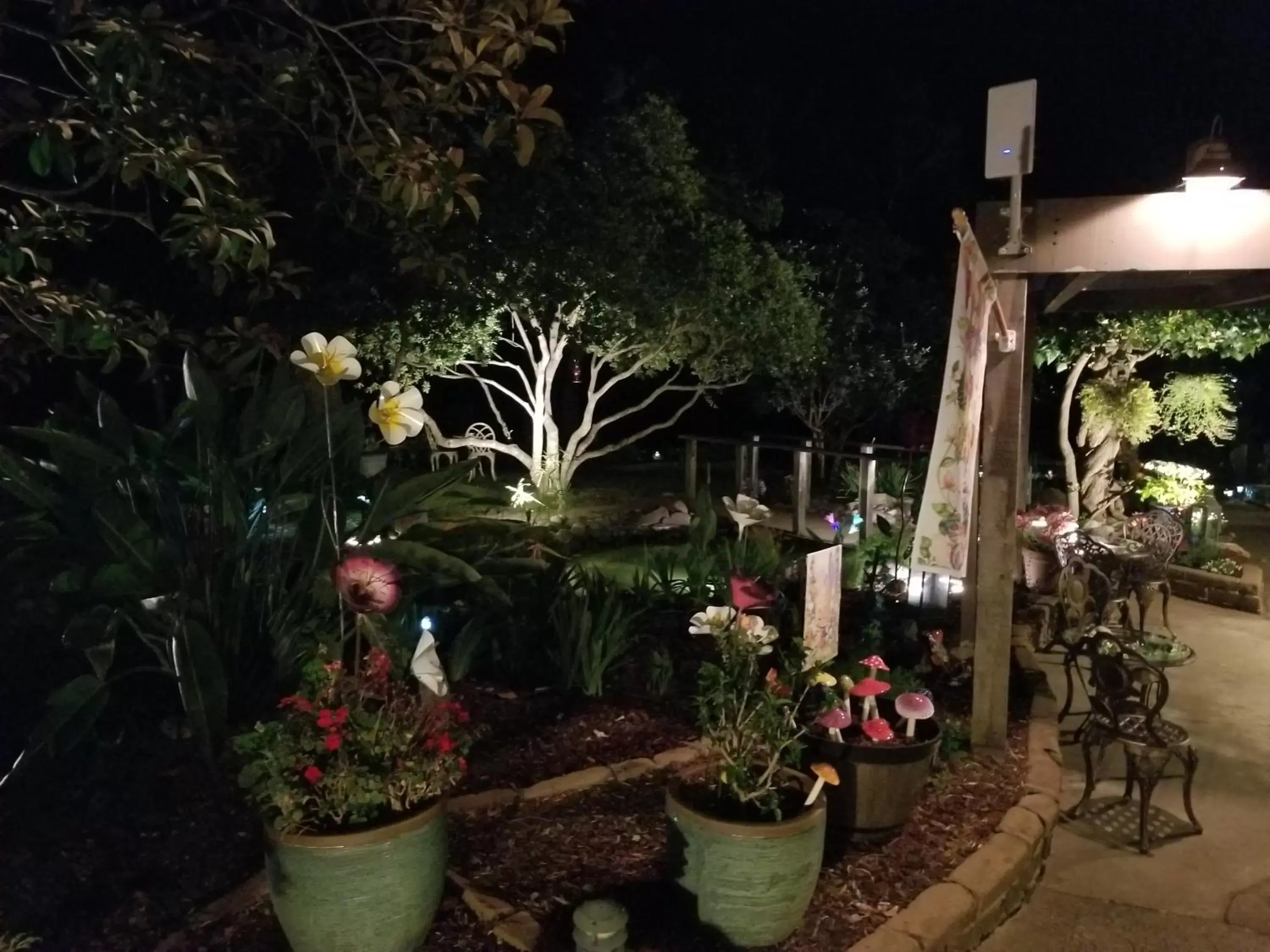 Garden in Carmel Valley Lodge