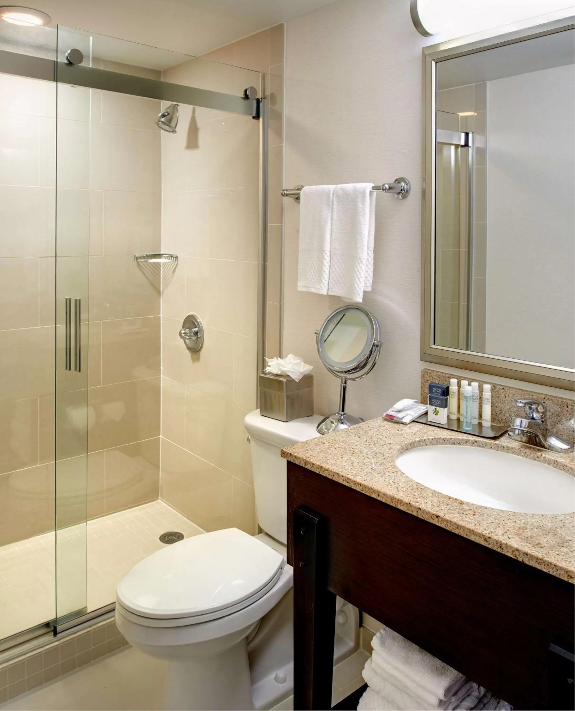 Bathroom in DoubleTree by Hilton Dearborn