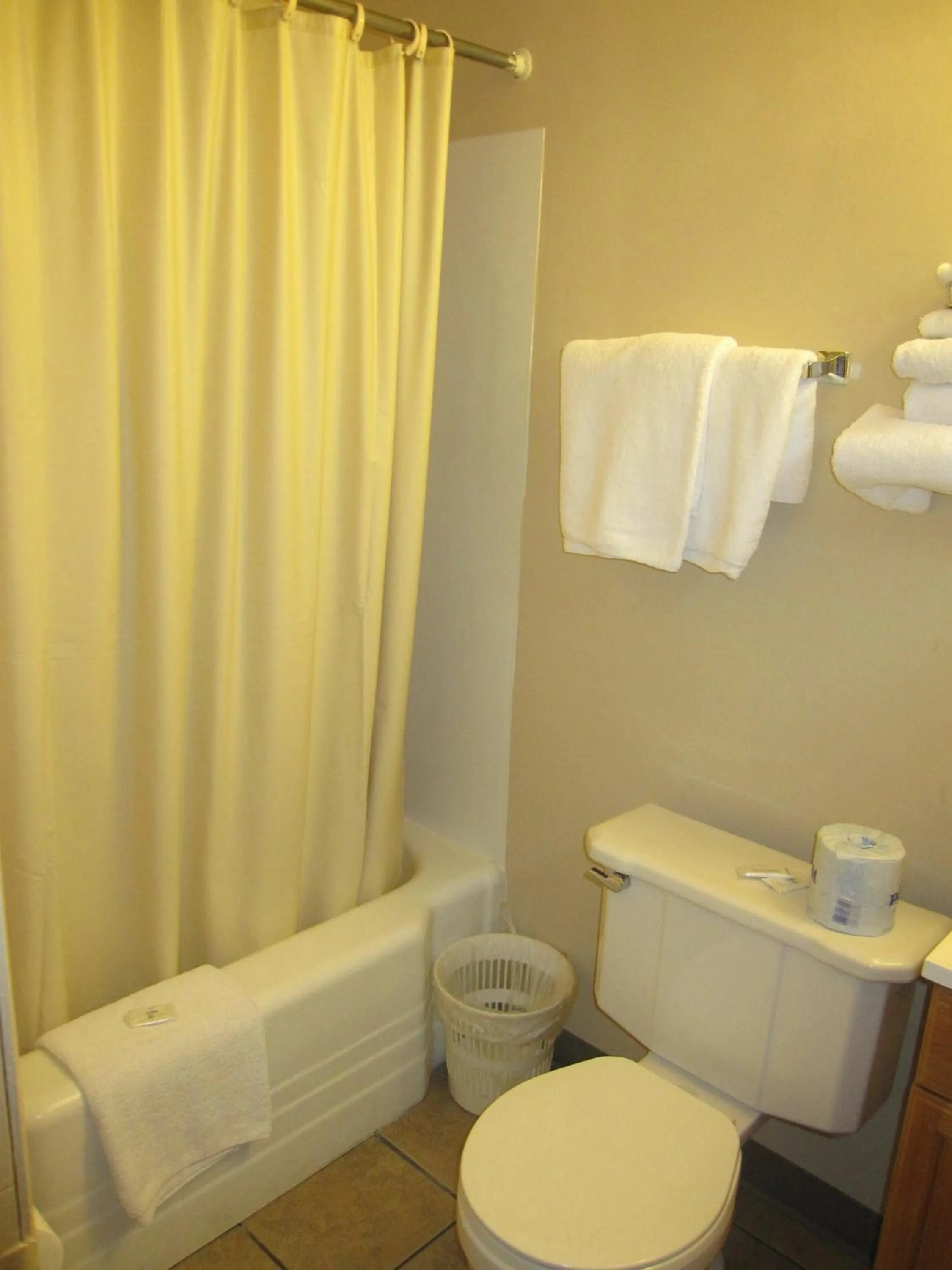 Bathroom in Swiss Cottage Inn