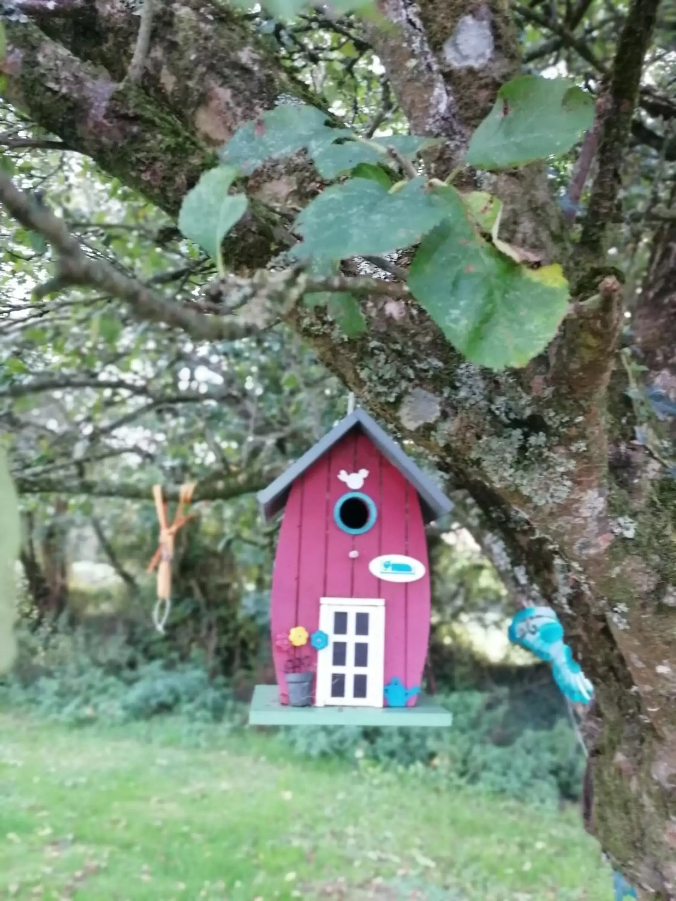 Children's Play Area in Cable Island Bed and Breakfast