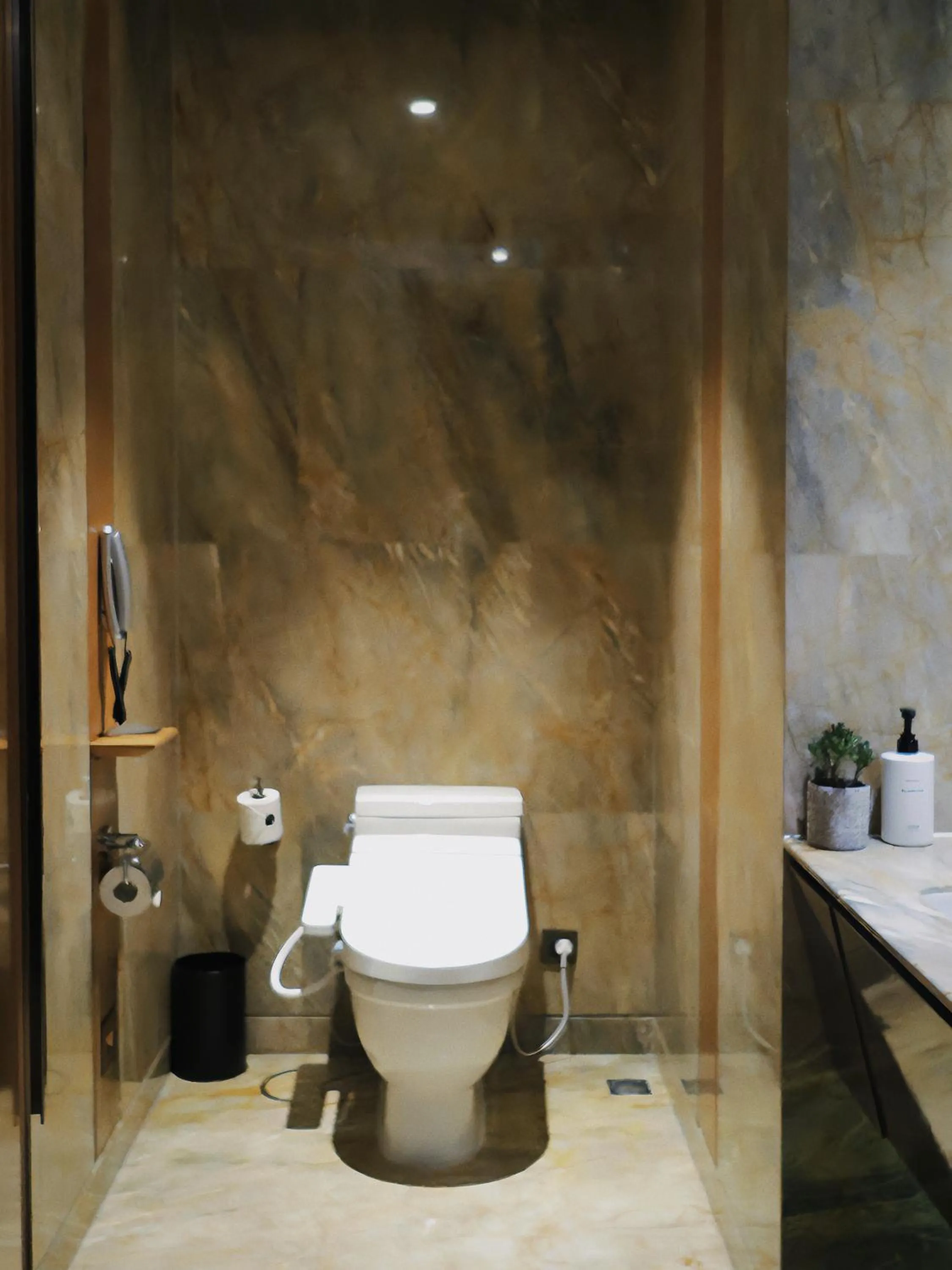 Toilet in InterContinental Changsha