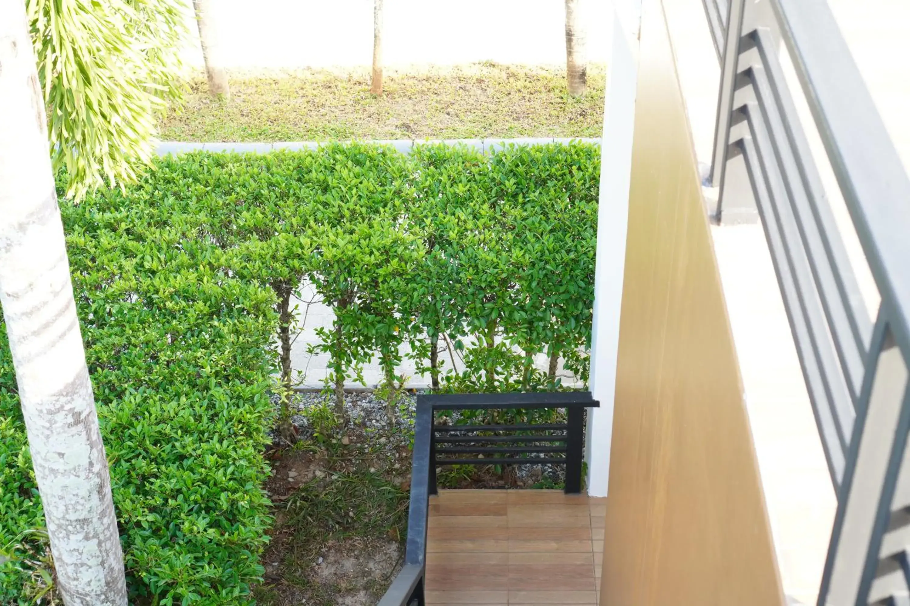 Balcony/Terrace in Green Terrace Resort & Restaurant