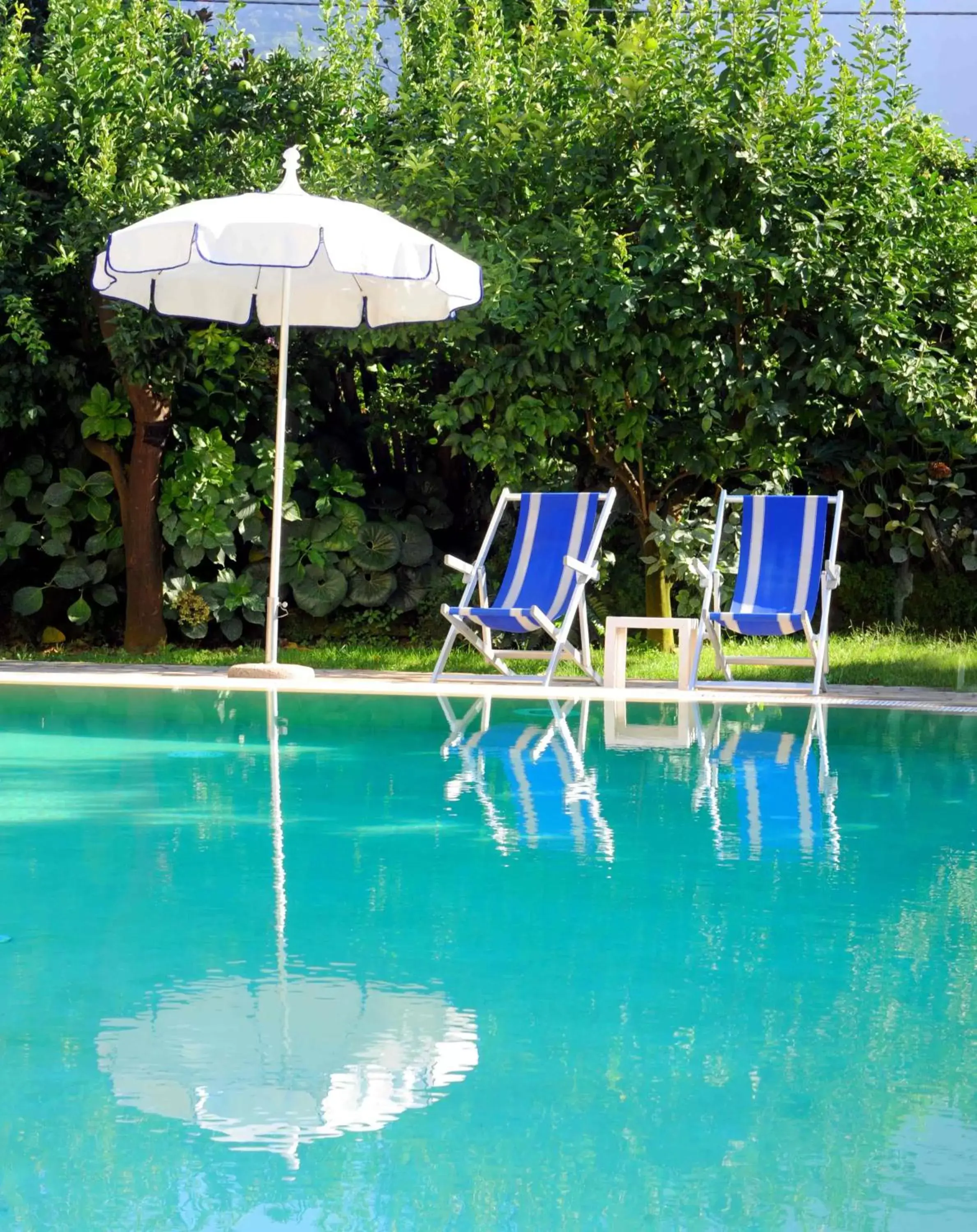 Swimming Pool in Hotel Tourist