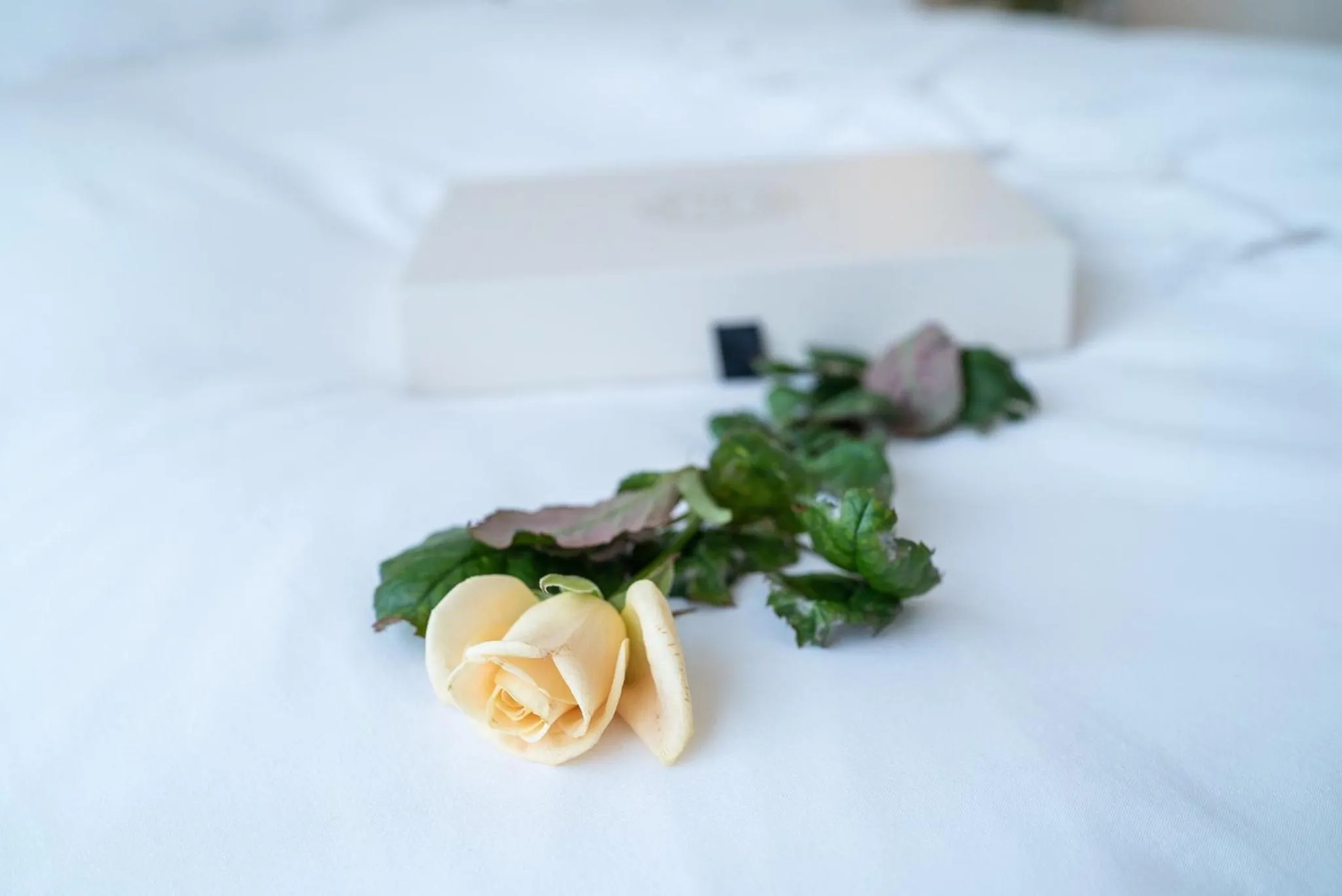 Decorative detail, Bed in Hotel Keflavik by Reykjavik Keflavik Airport