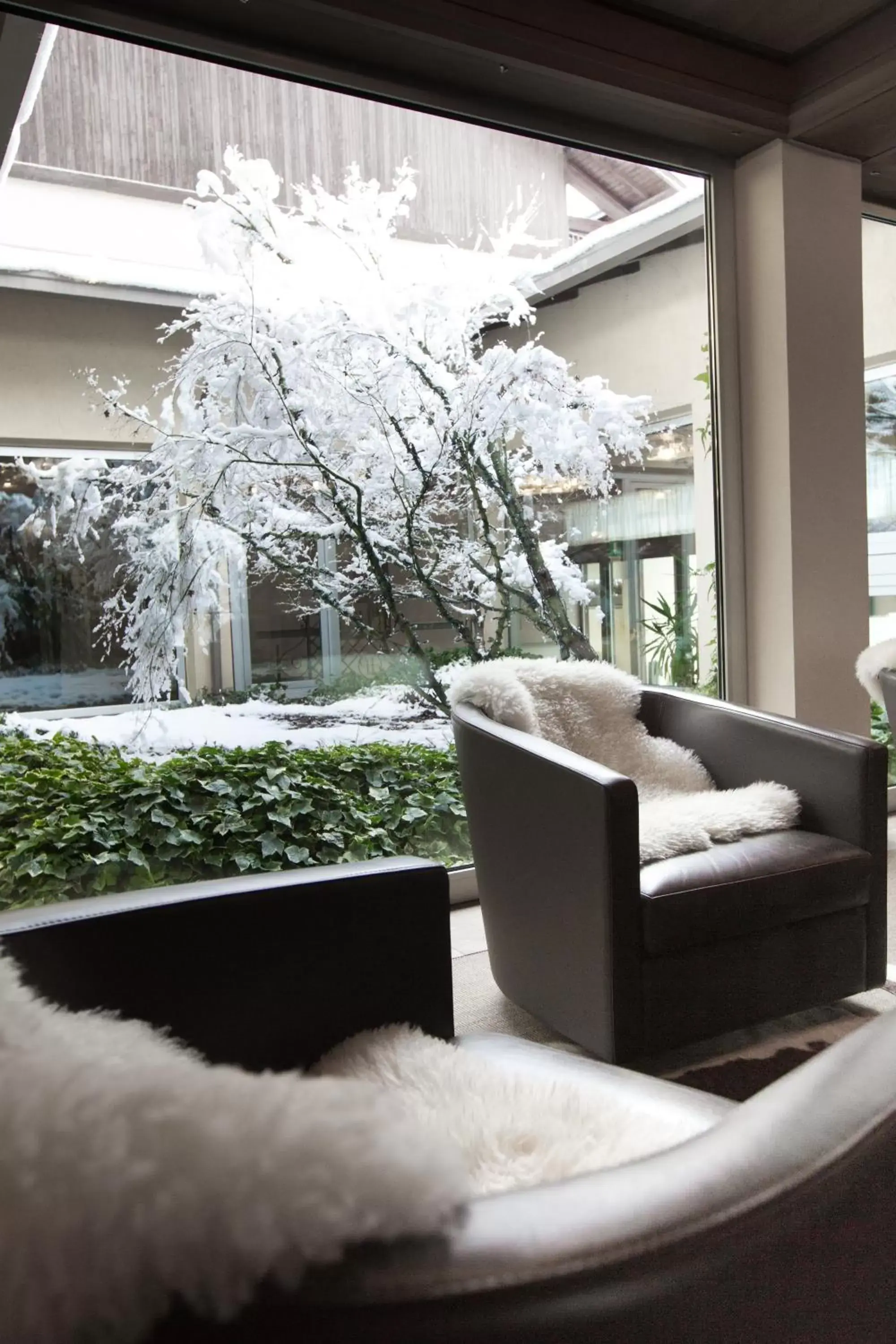 Patio in Palace Hotel Wellness & Beauty