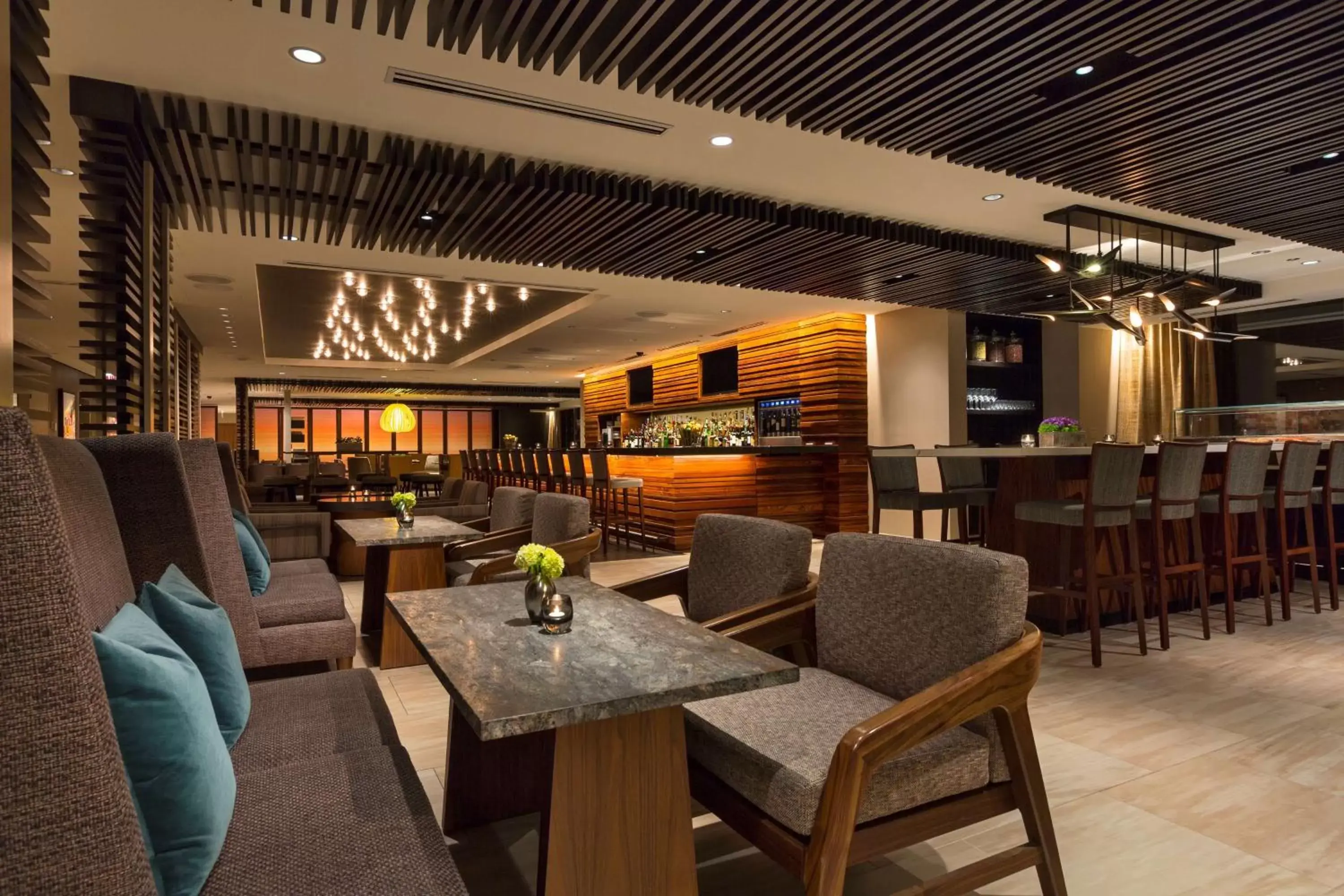 Restaurant/places to eat, Lounge/Bar in Hyatt Centric Chicago Magnificent Mile