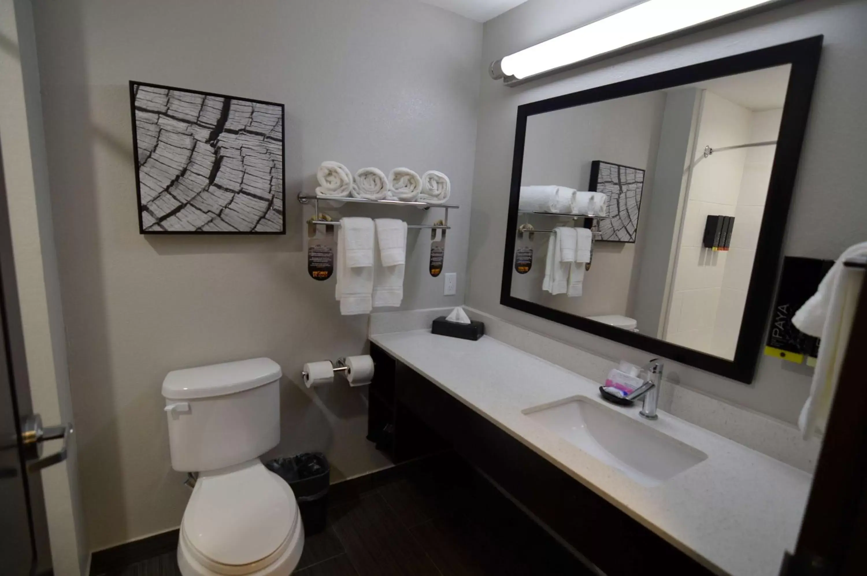 Bathroom in Best Western Plus Bay City Inn & Suites