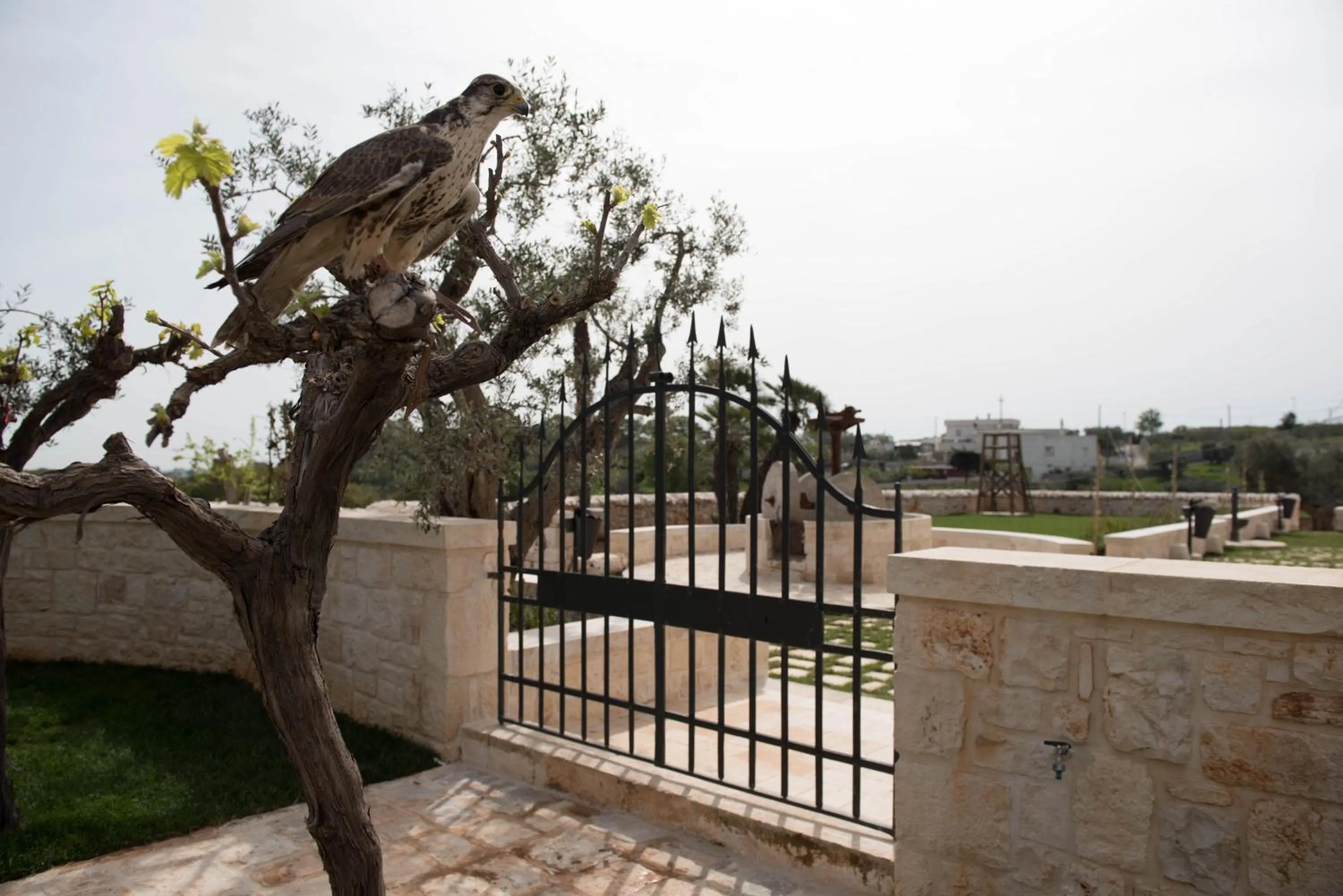 Animals in Resort La Corte Dell'Astore - Wild in Style Resort