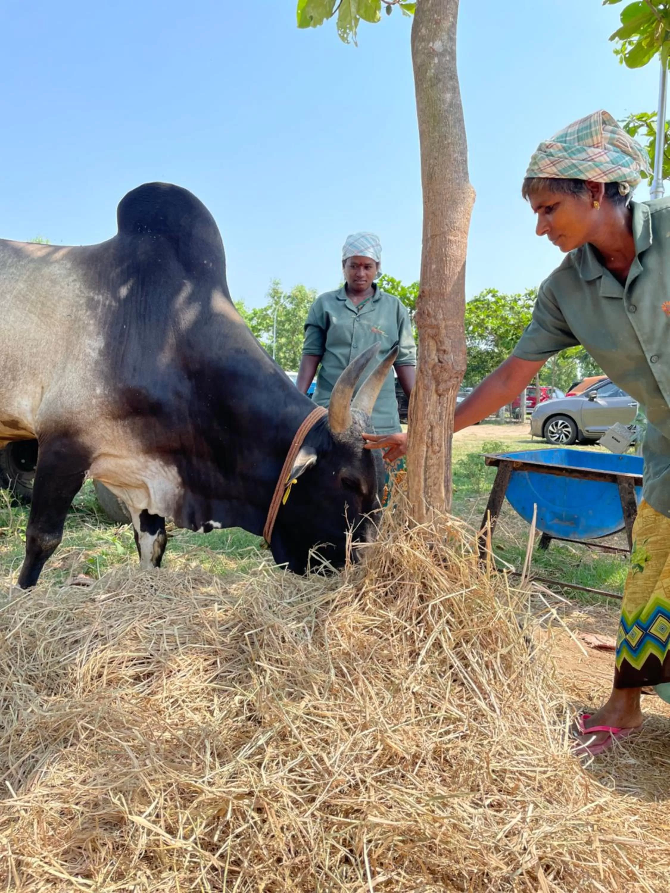 Marutham Village Resort