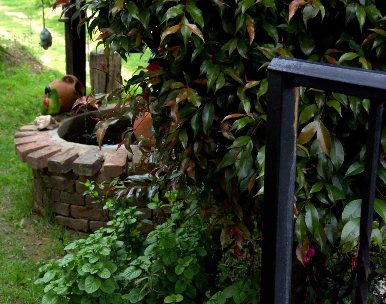 Garden in El Pedregal Sopó