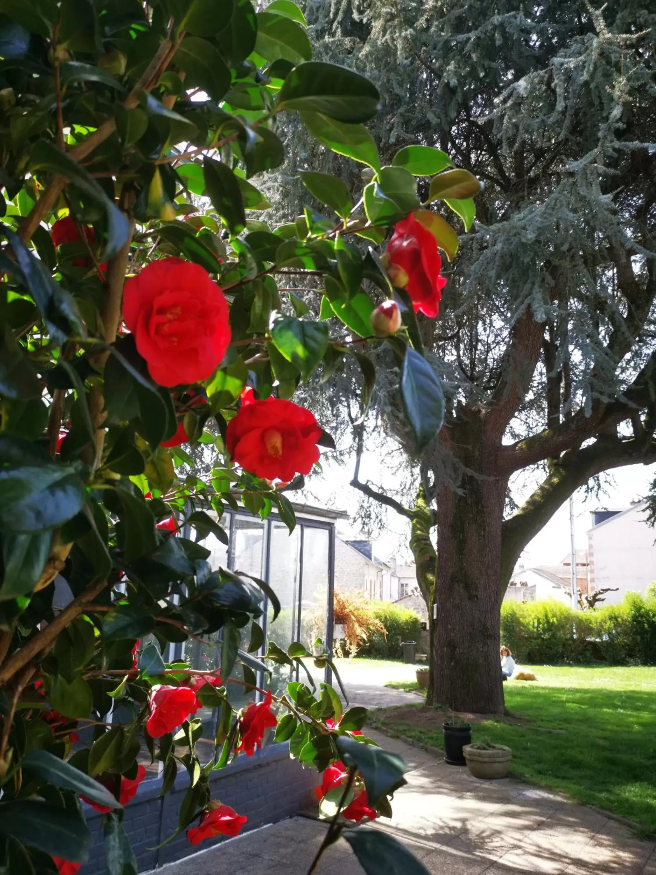 Garden in Chambres d'hôtes La Maison Blanche