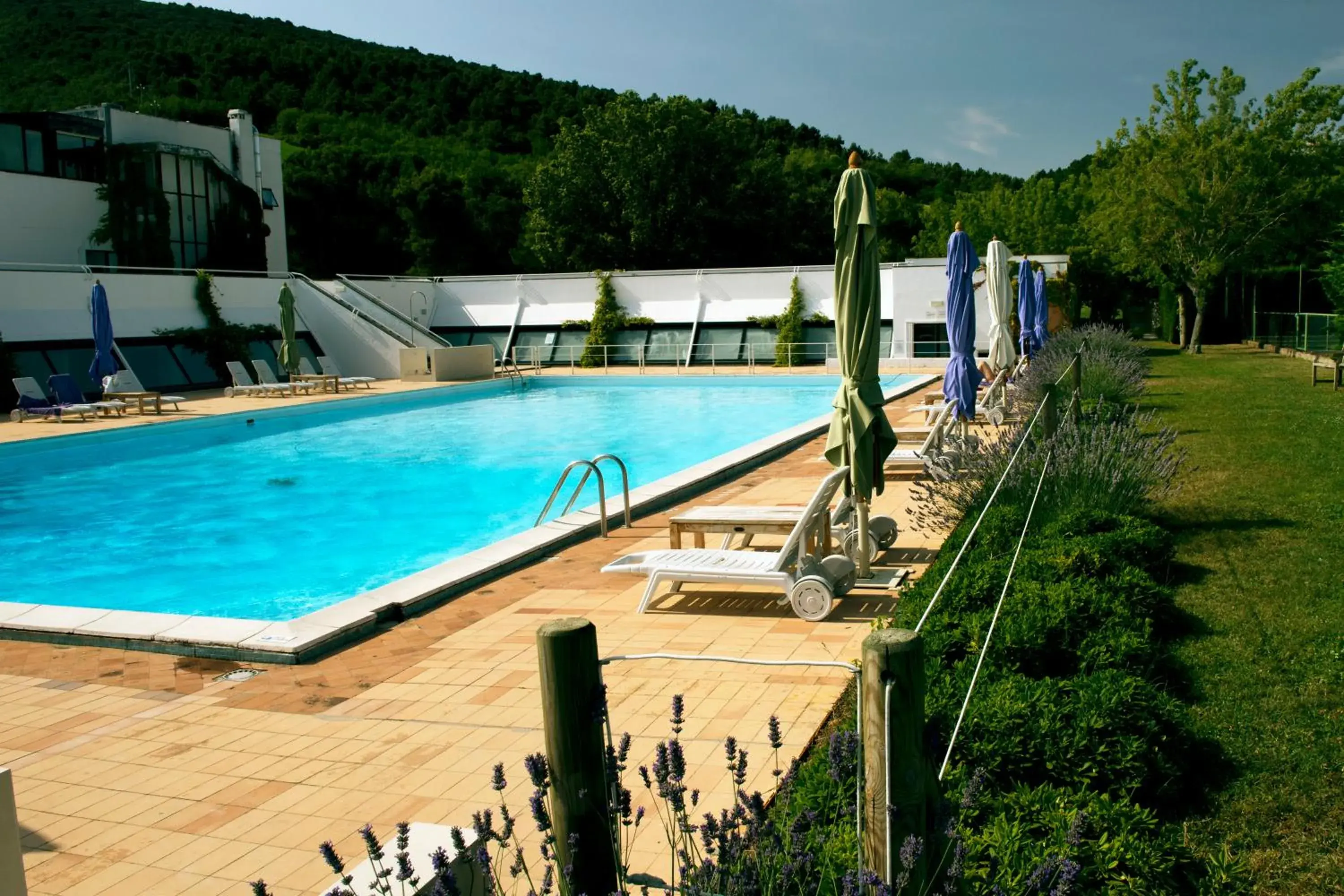 Day, Swimming Pool in Hotel Emilia