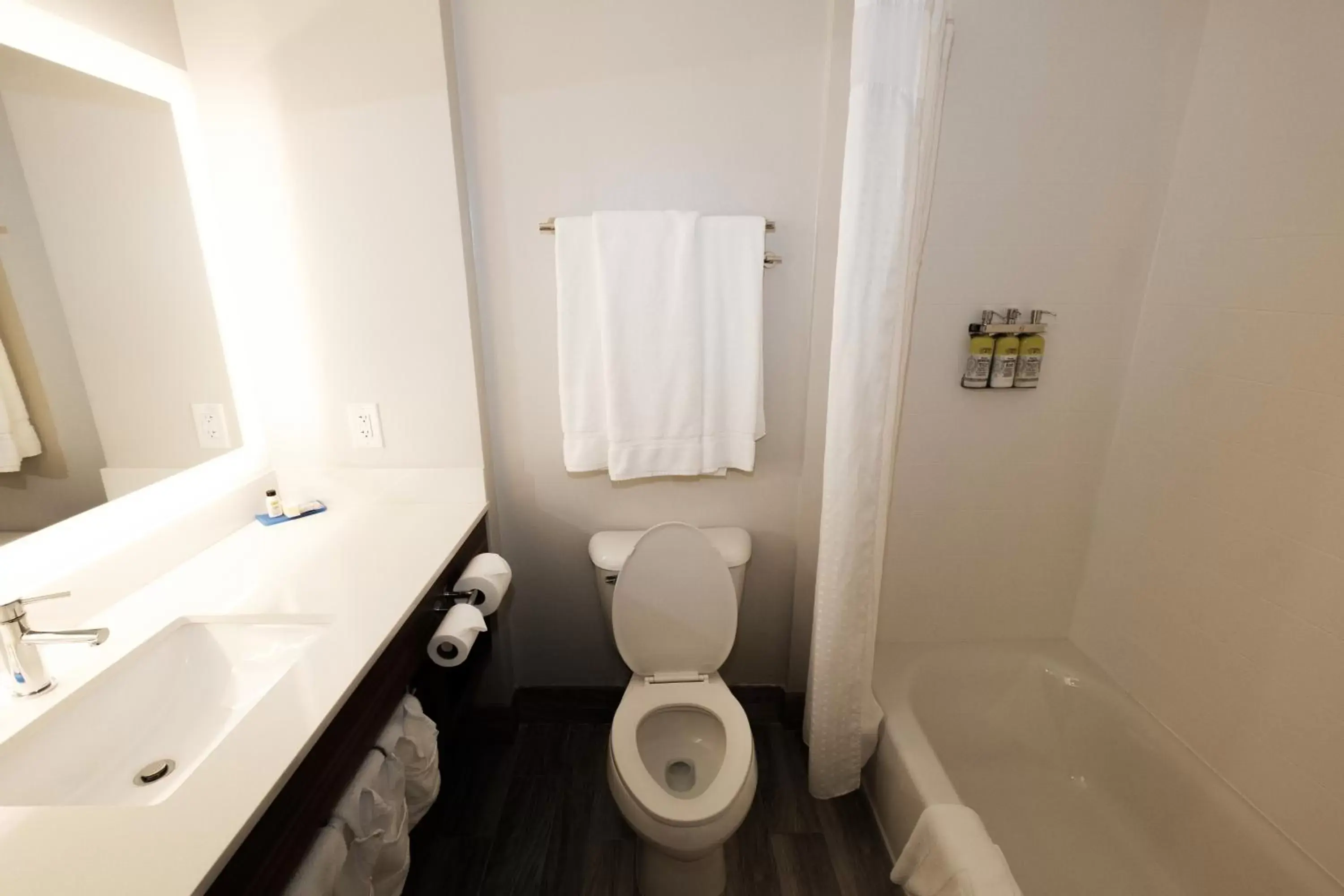 Toilet, Bathroom in Holiday Inn Express Atlanta - Northeast I-85 - Clairmont Road, an IHG Hotel