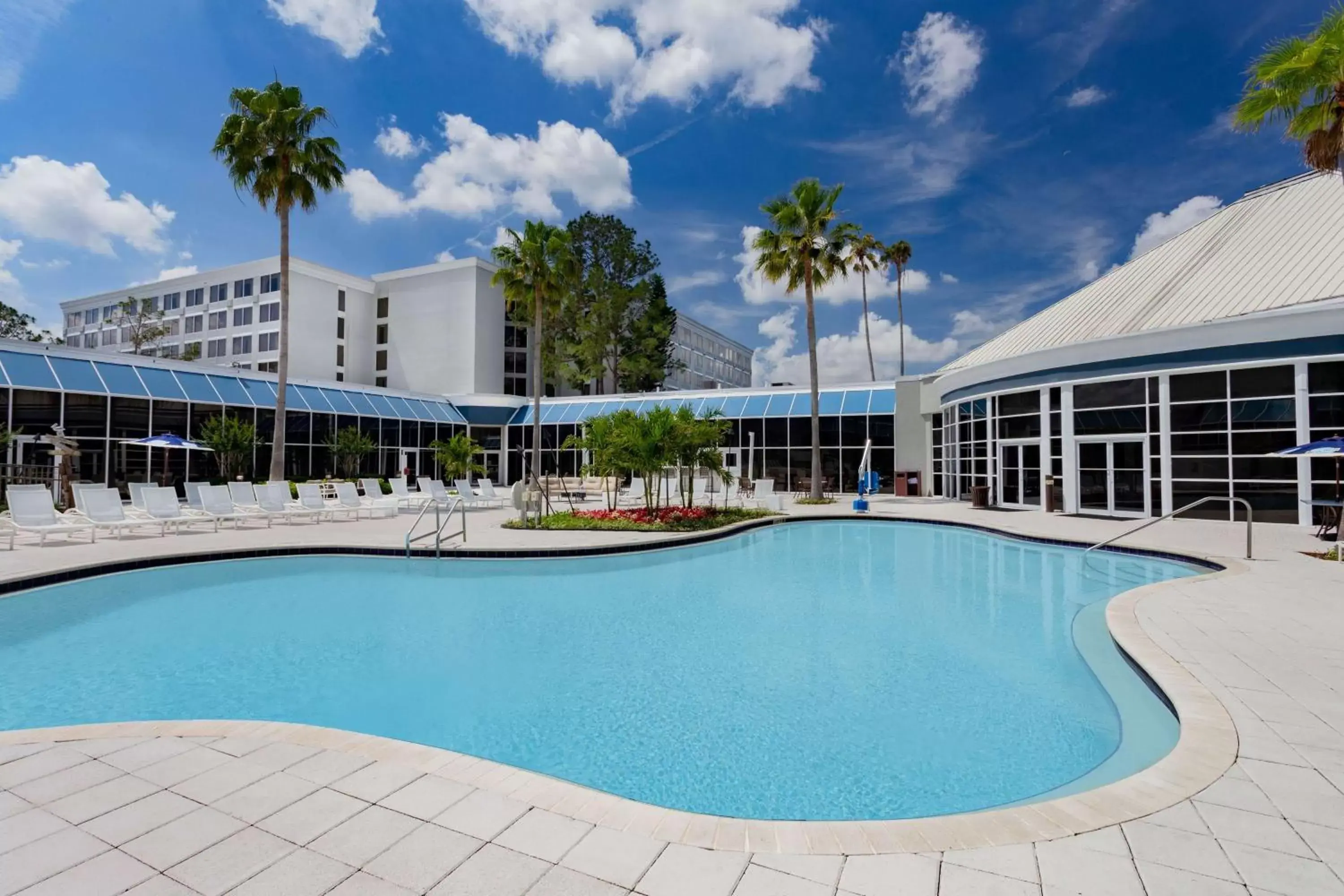 Activities, Swimming Pool in Wyndham Orlando Resort & Conference Center, Celebration Area
