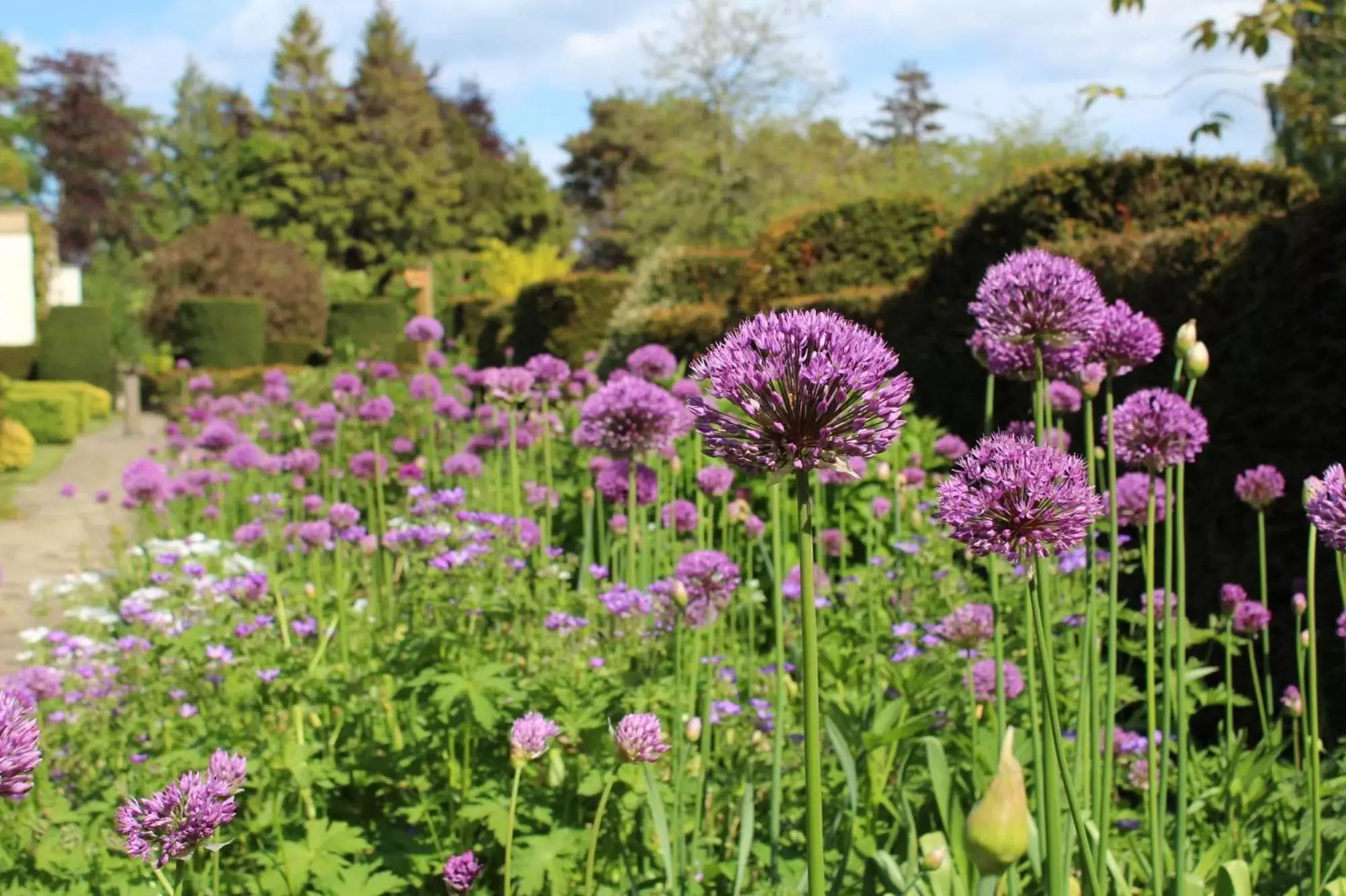 Garden in Rufflets St Andrews