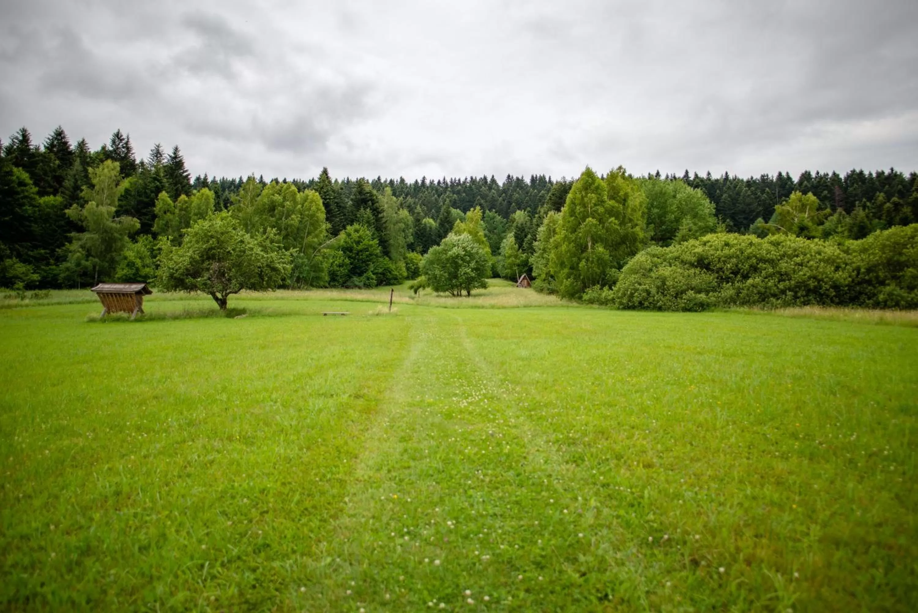 Natural landscape in Gościniec Pięciu Stawów