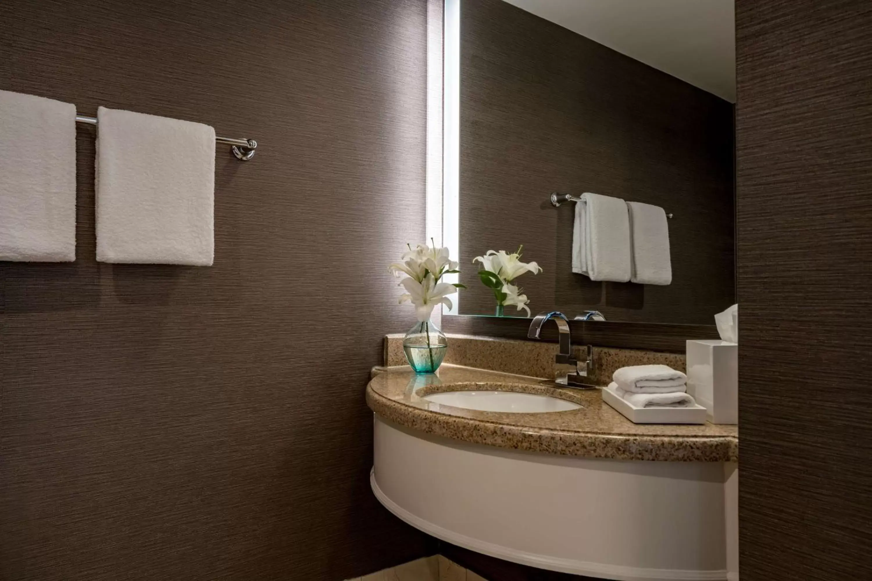 Bathroom in Hyatt Regency Chesapeake Bay Golf Resort, Spa & Marina
