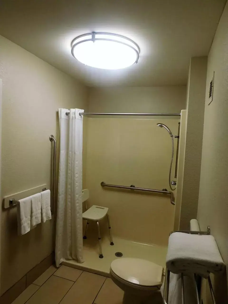 Bathroom in Best Western Shenandoah Inn