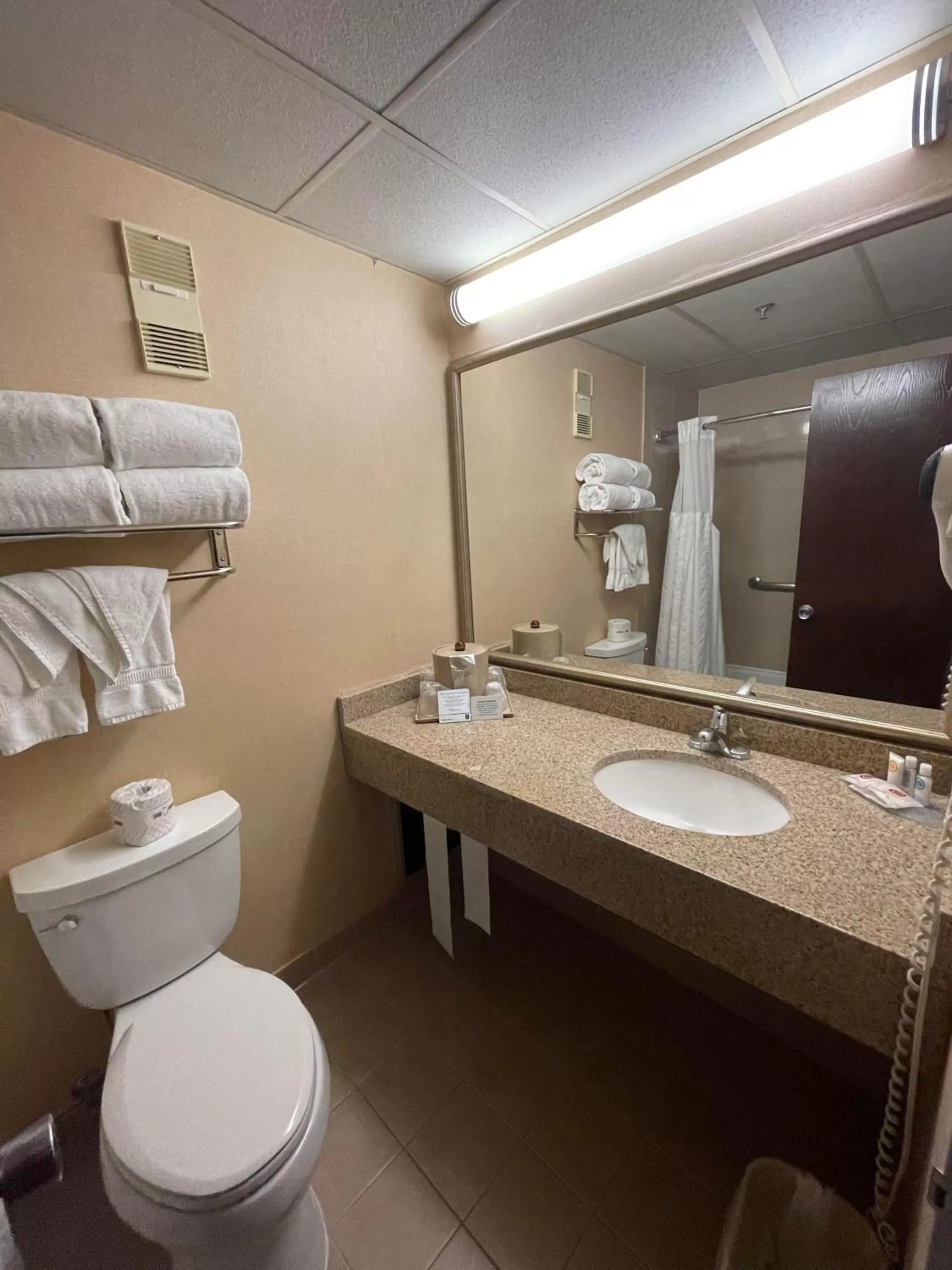 Bathroom in Comfort Inn Ballston