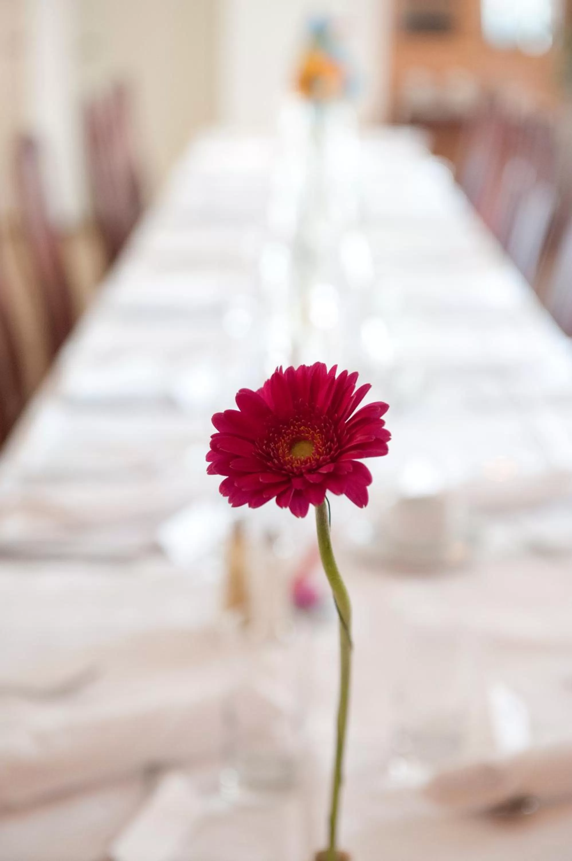 Restaurant/places to eat, Bed in Sturup Airport Hotel