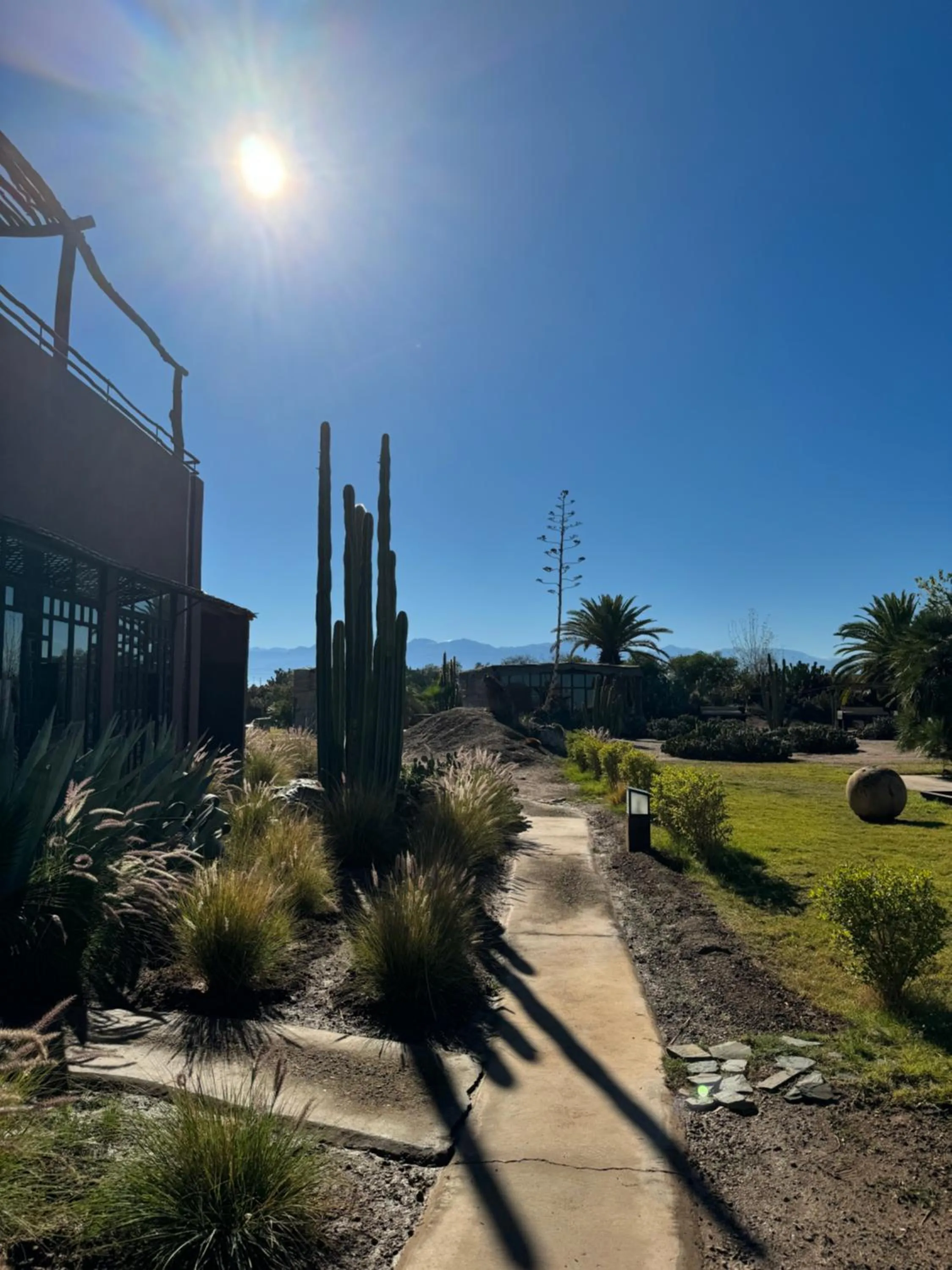 Natural landscape in Fellah Hotel