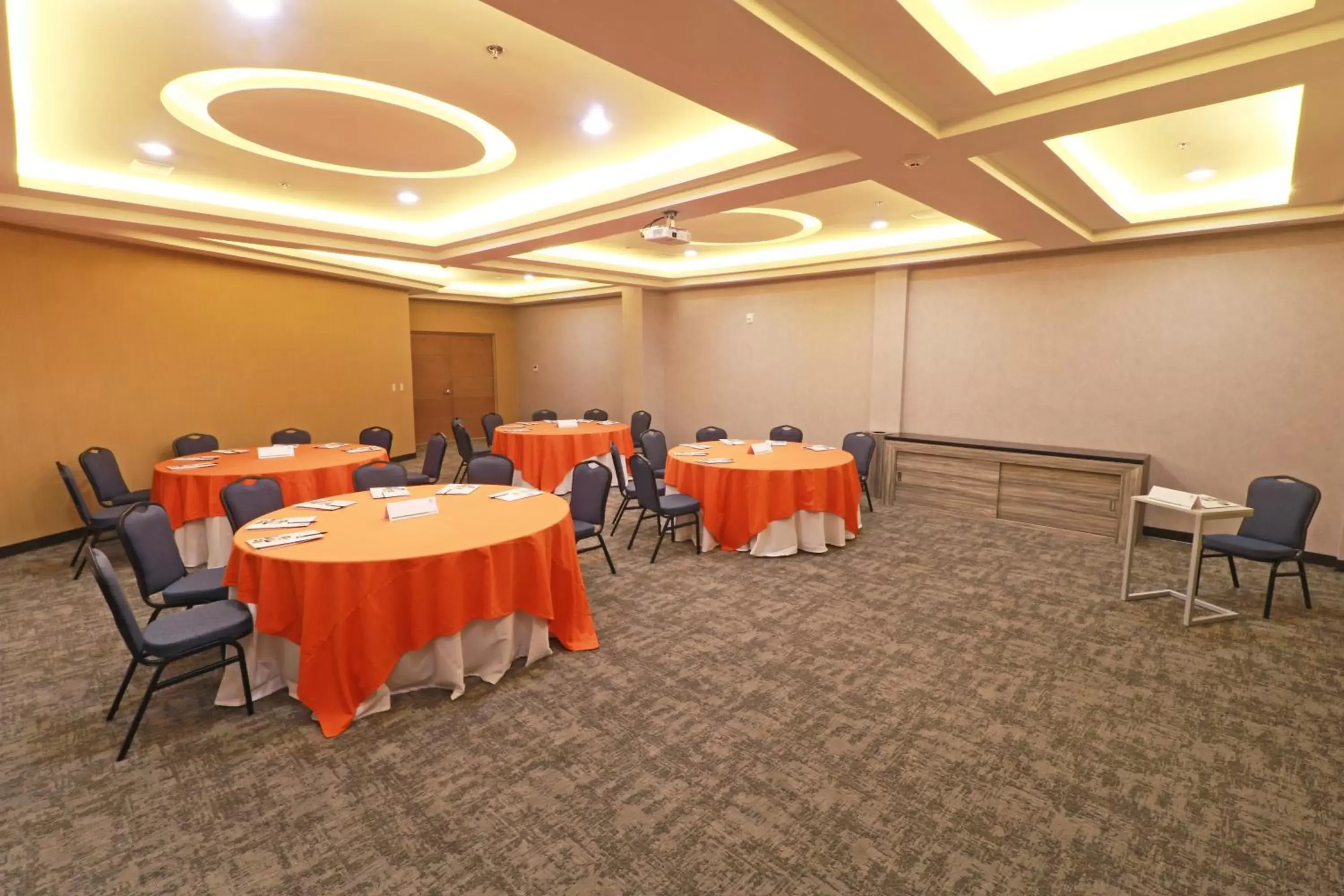 Meeting/conference room in Holiday Inn - Ciudad Juarez, an IHG Hotel