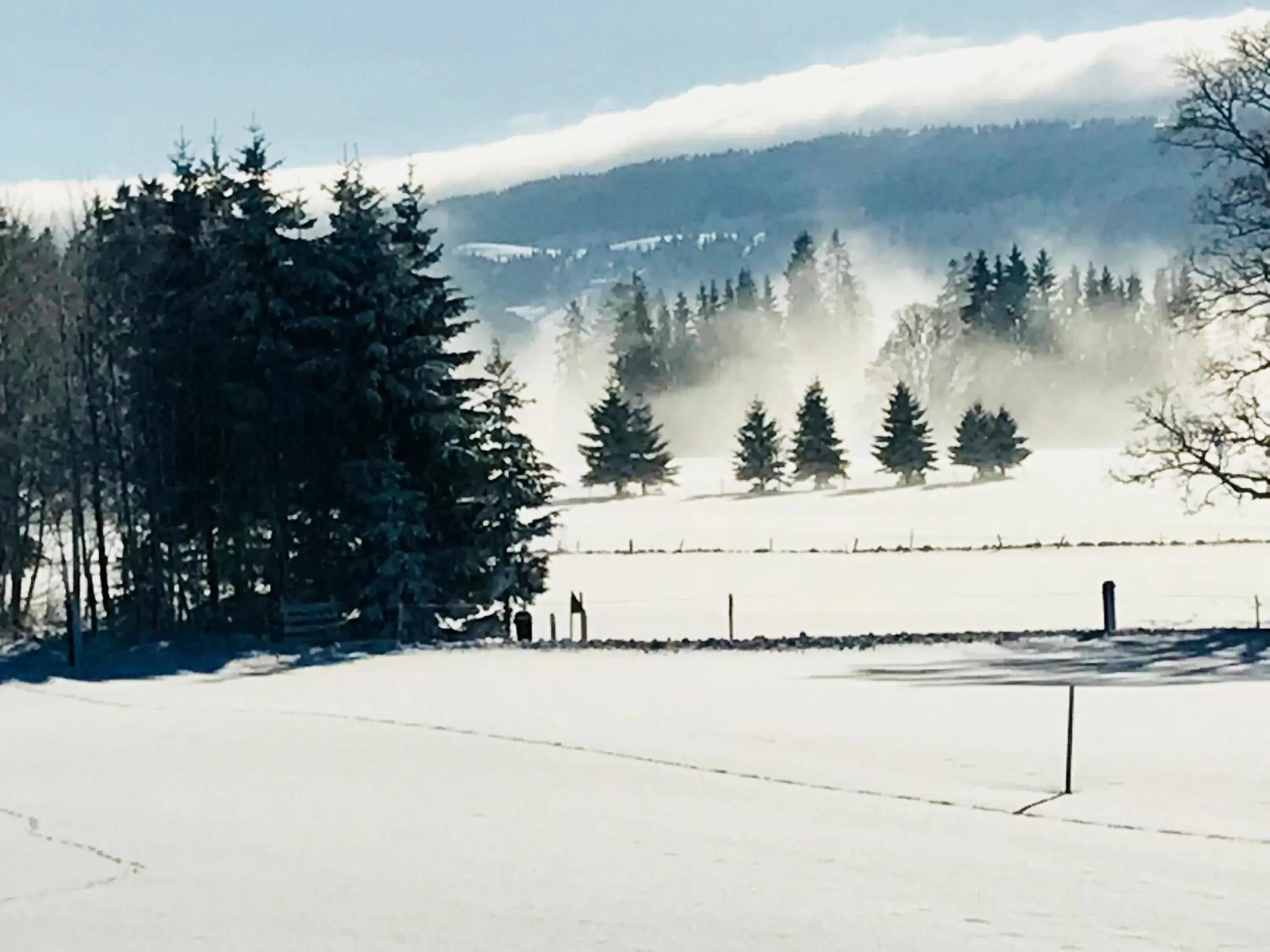 Natural landscape, Winter in Auberge de l'Assesseur - Mont-Soleil