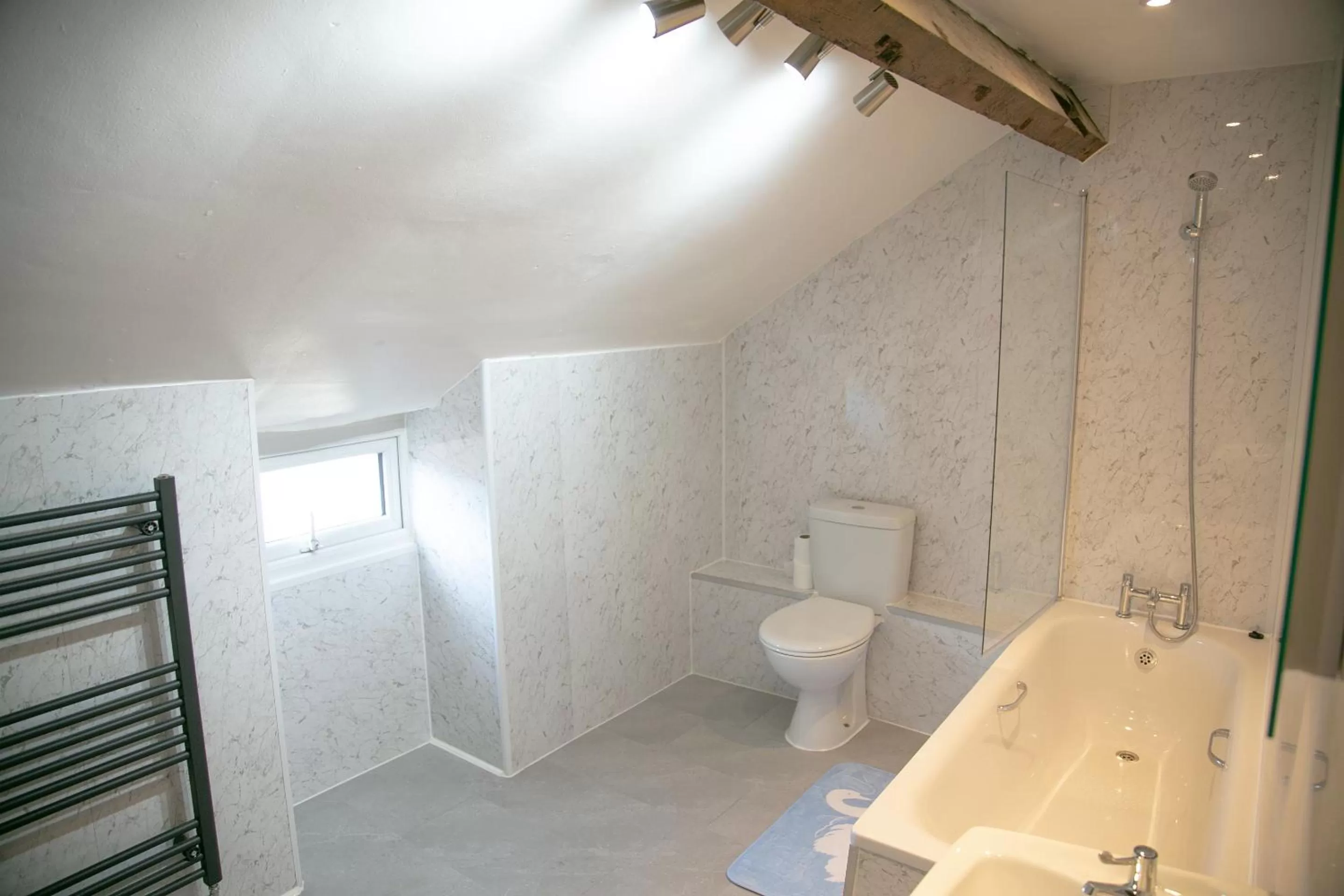 Bathroom in The Swan