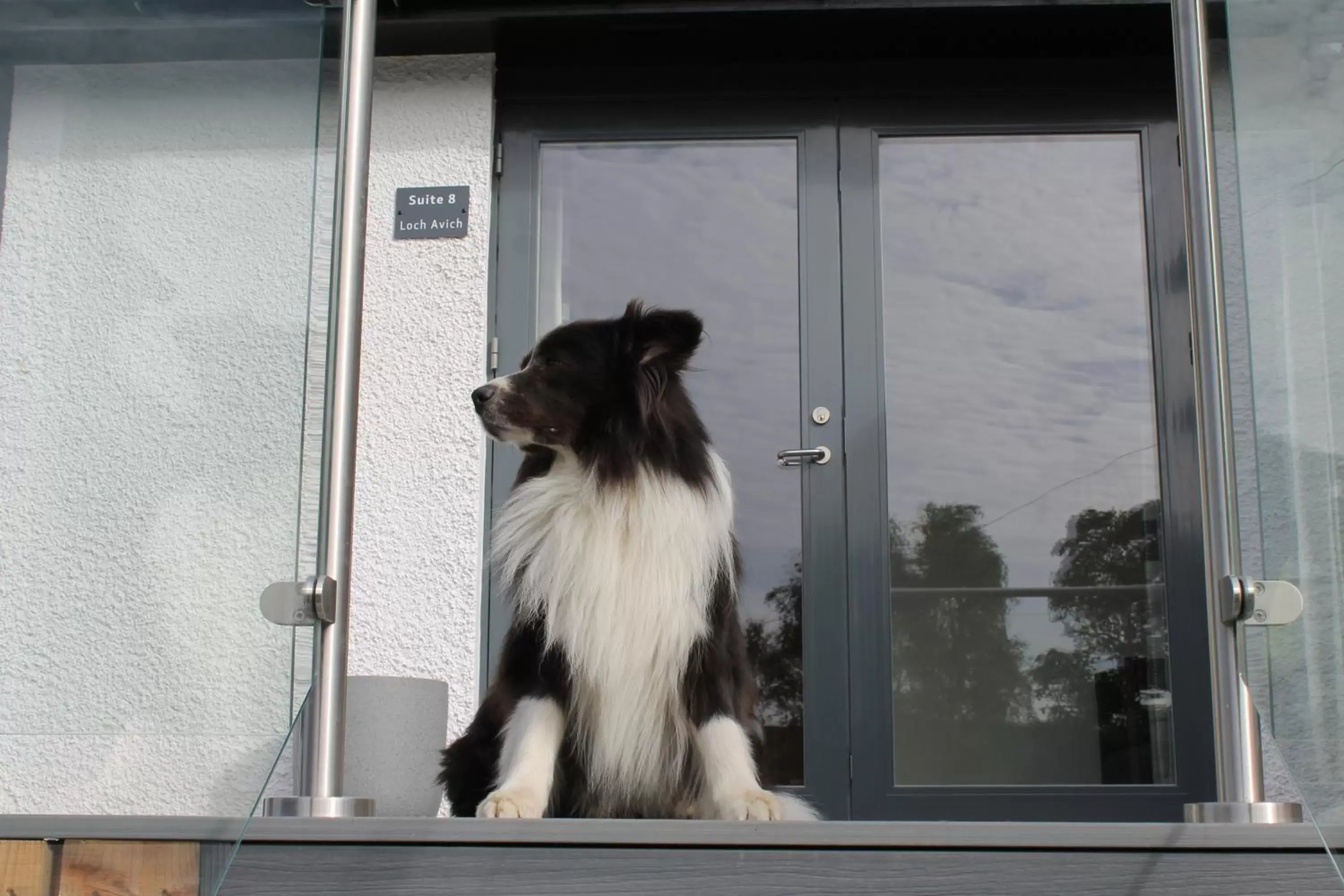 Pets in Ben Cruachan Inn