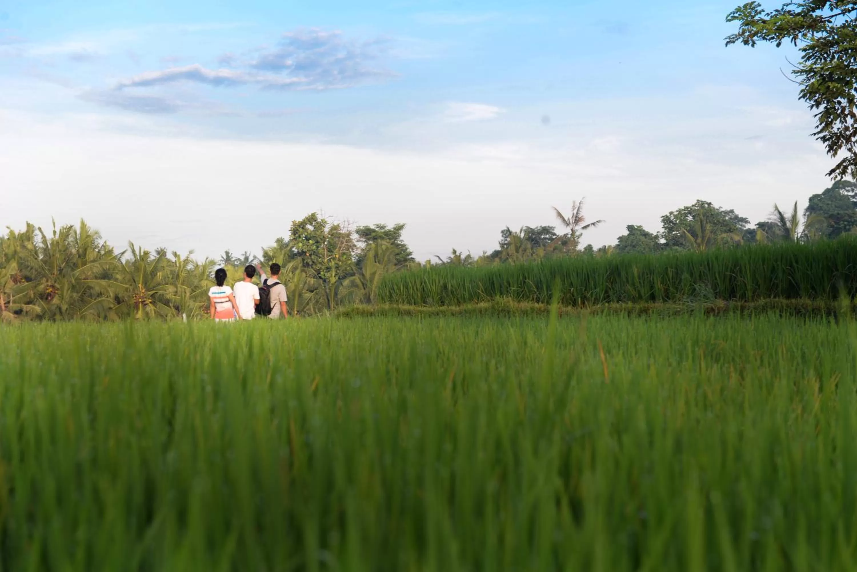 Activities in Purana Boutique Resort