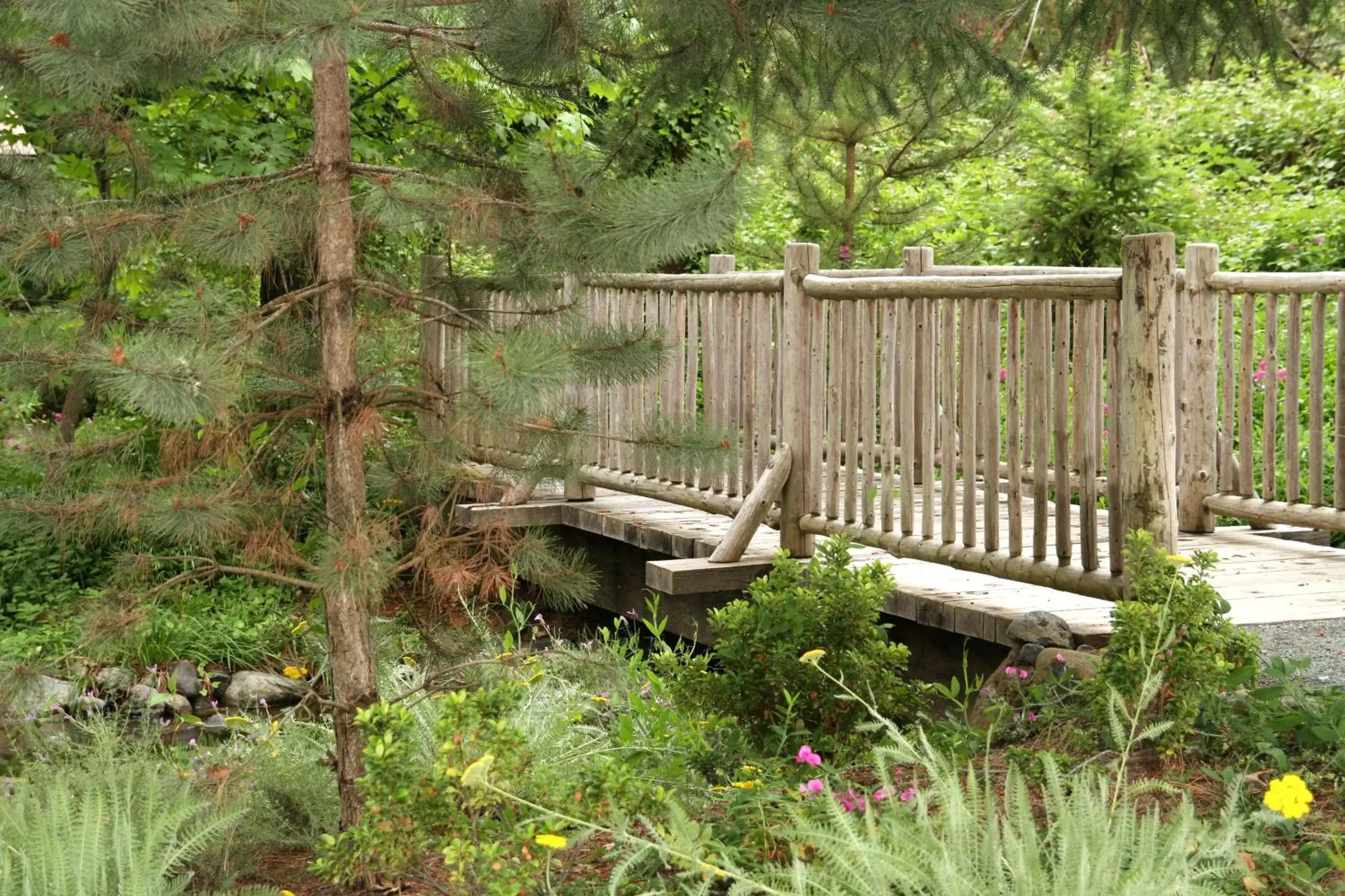 Garden in Weasku Inn