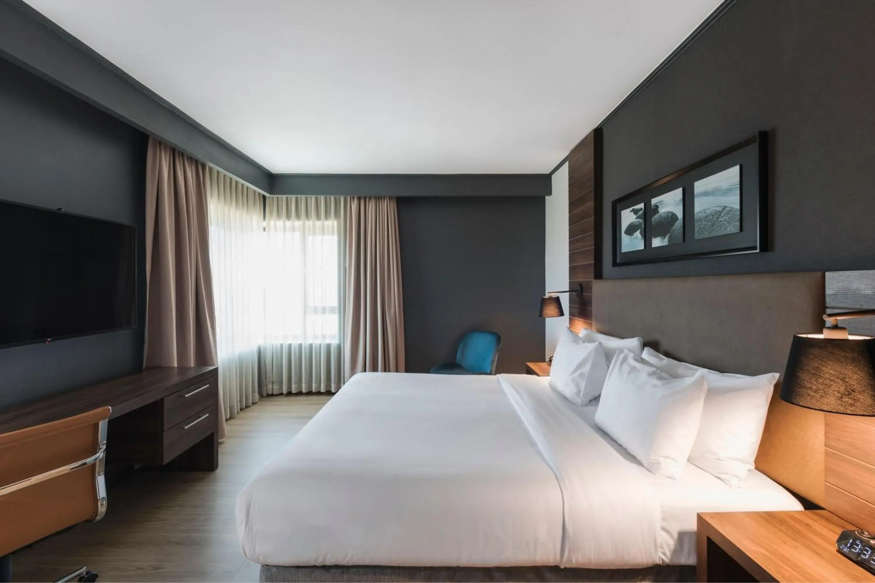 King Room in Courtyard by Marriott Puerto Montt King Room in Courtyard by Marriott Puerto Montt