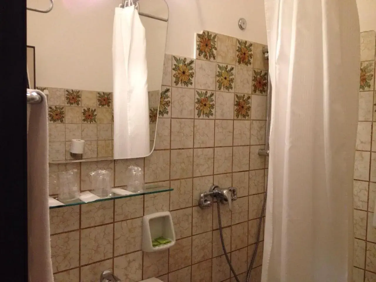 Shower, Bathroom in Hotel Europa