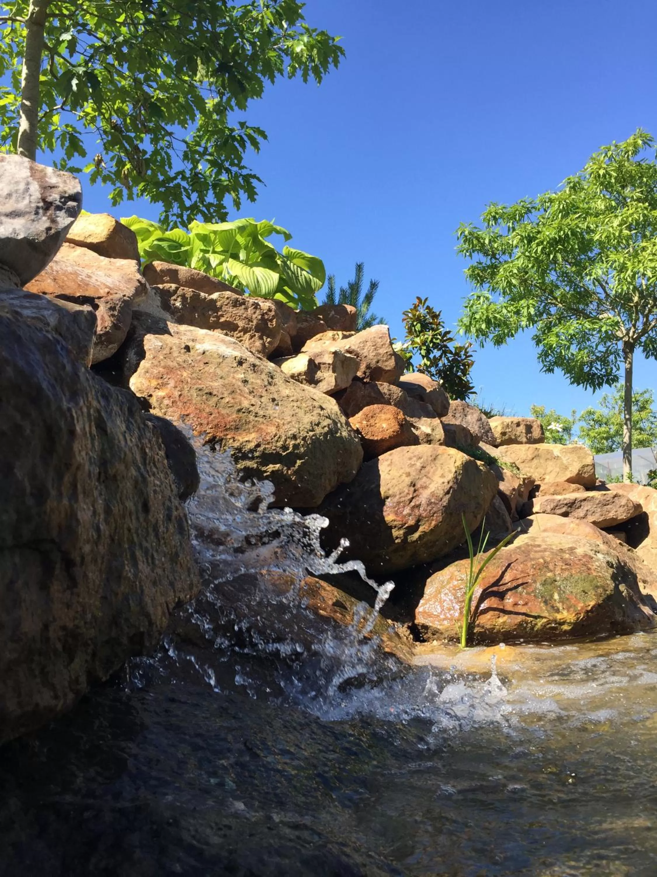 Garden in L'école des garçons