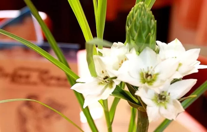 Other in Hotel Mira Mare