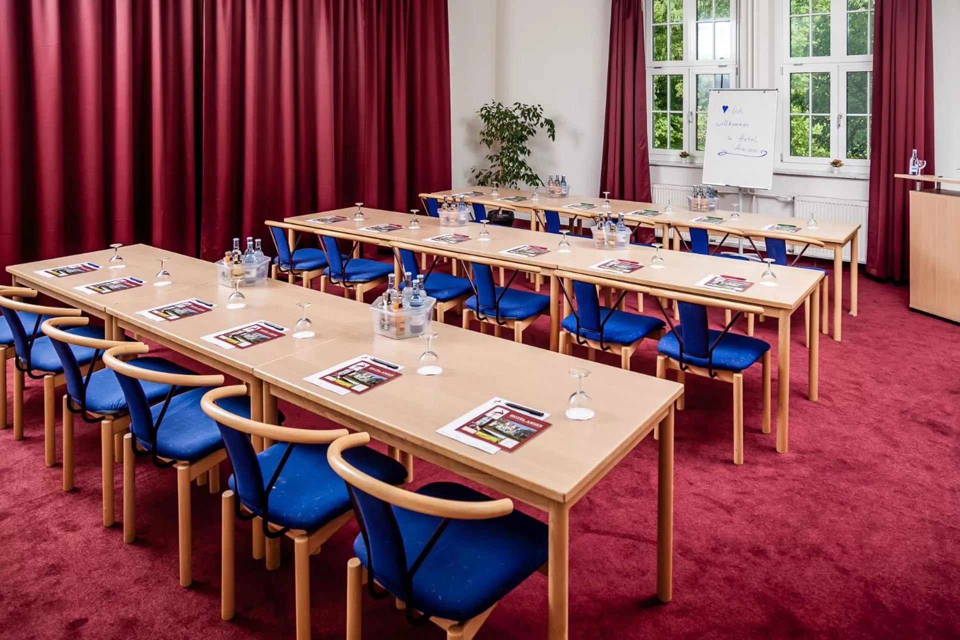 Business facilities in Spa Hotel Amsee