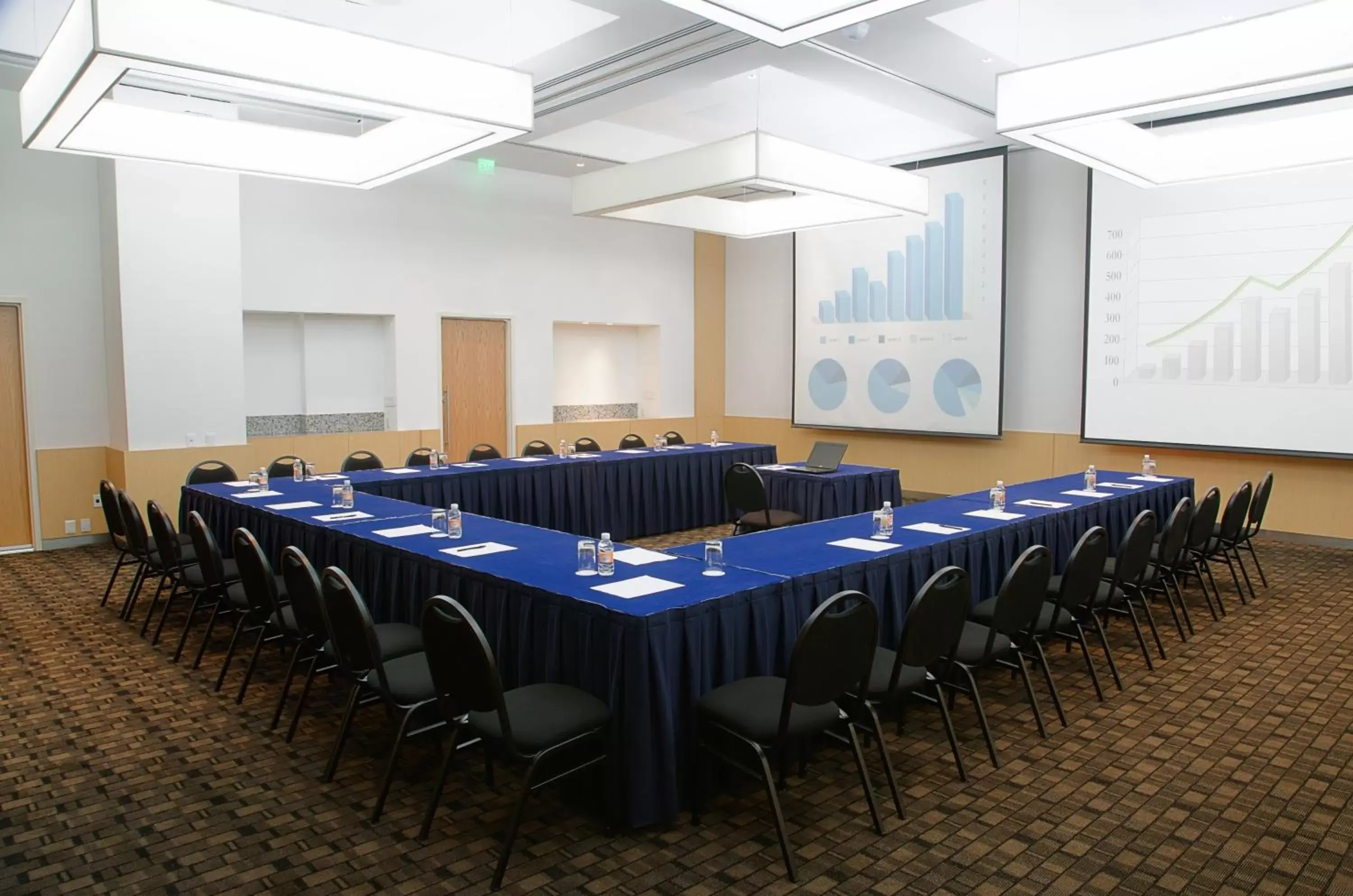 Meeting/conference room in Fiesta Inn Puebla Las Animas