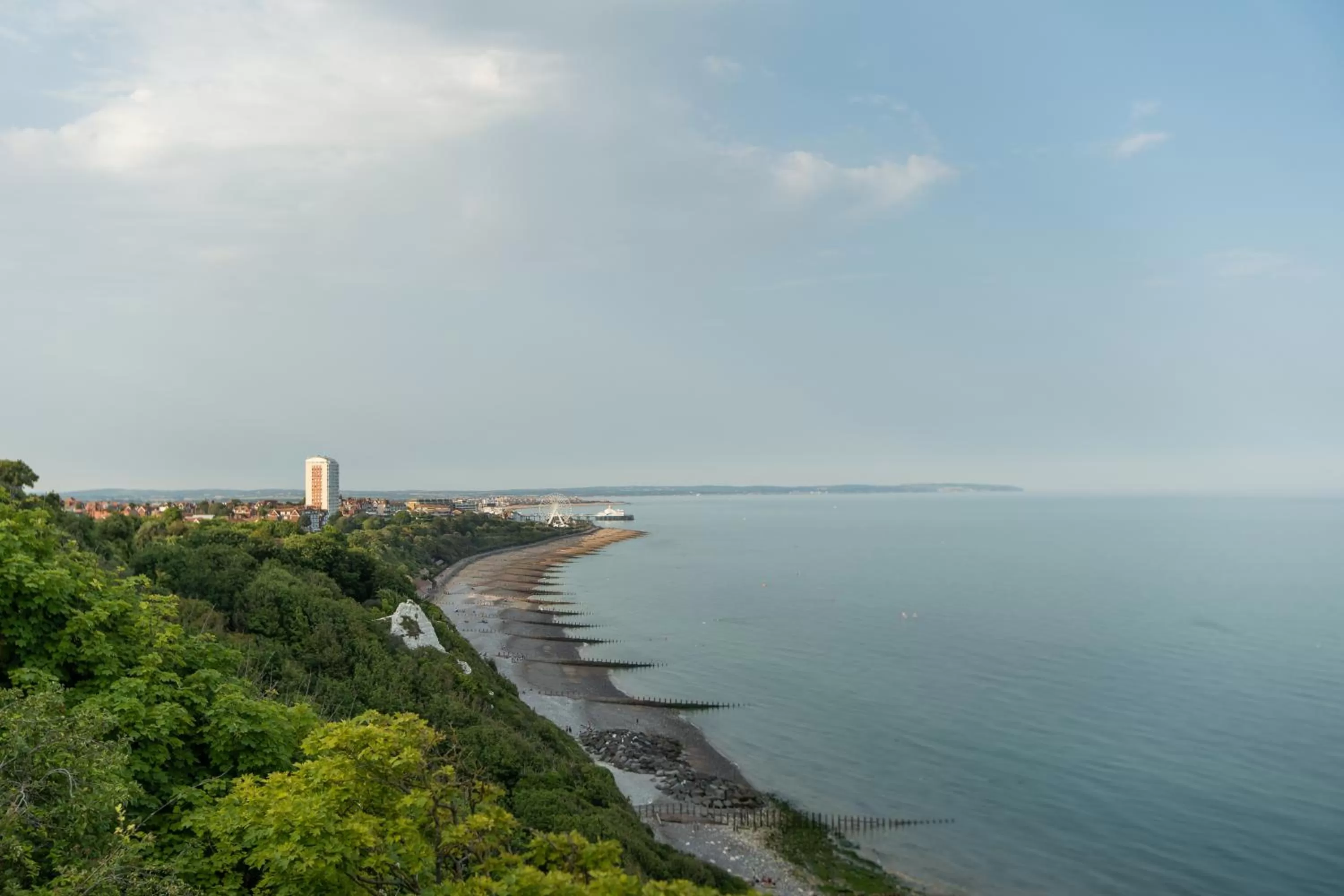 Natural landscape in The Lansdowne, Eastbourne