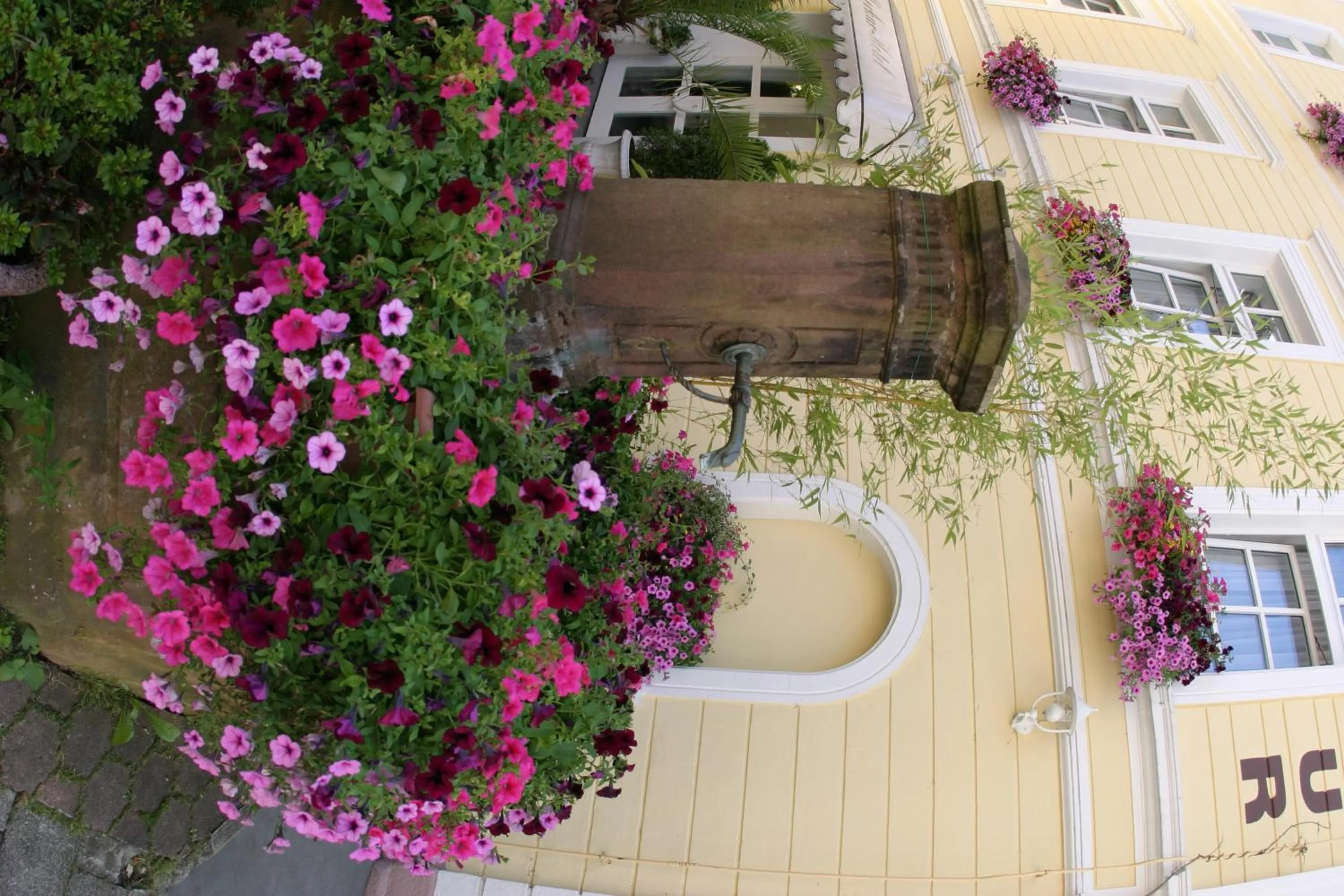 View (from property/room) in Hotel Merkur - Superior