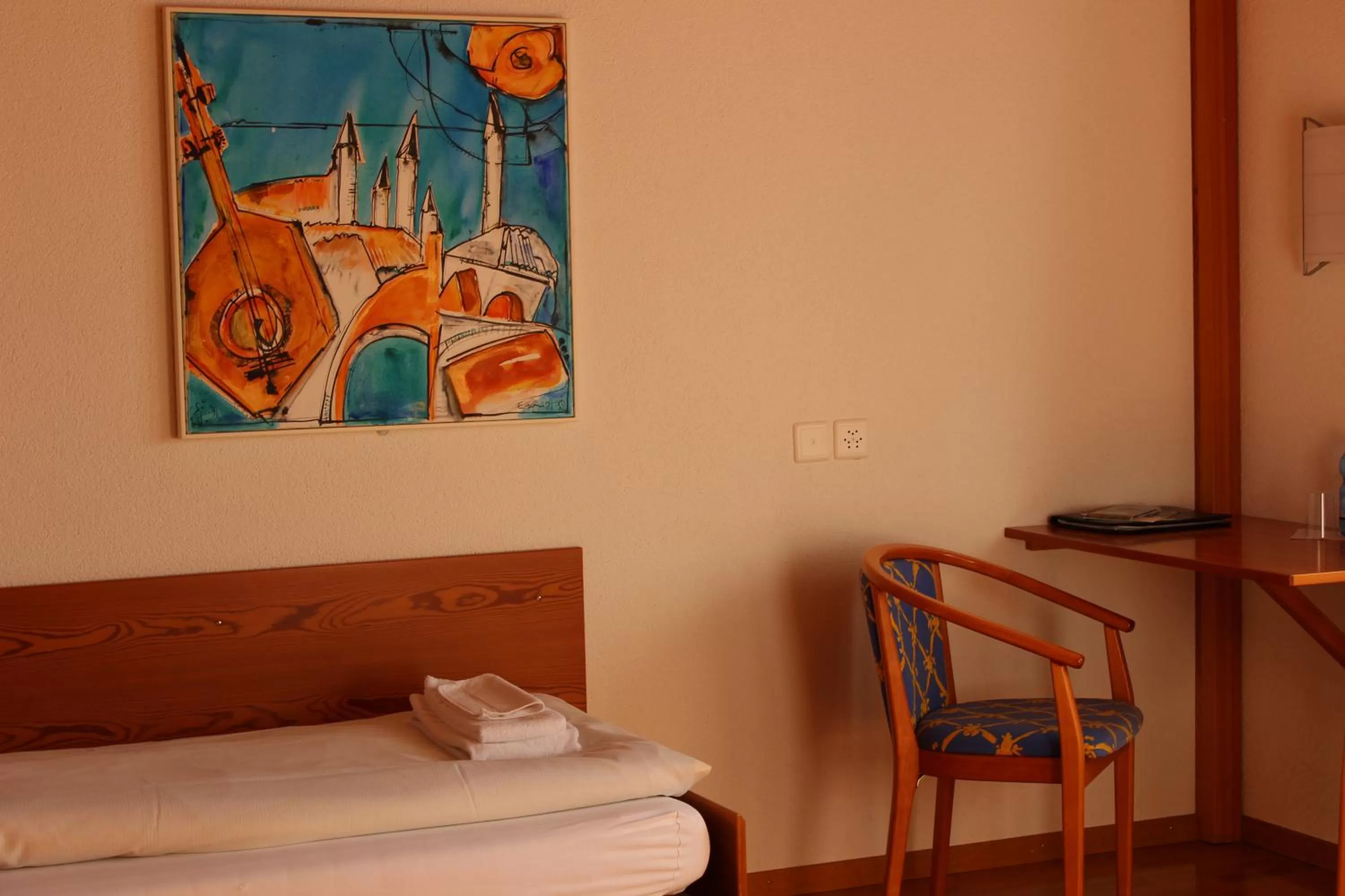 Single Room - single occupancy in Hotel Appenberg