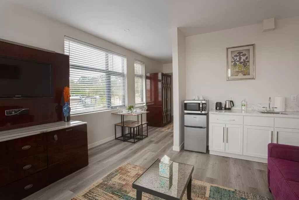 TV/Entertainment Center in One Bedroom Apartment with Luxurious Furnitures