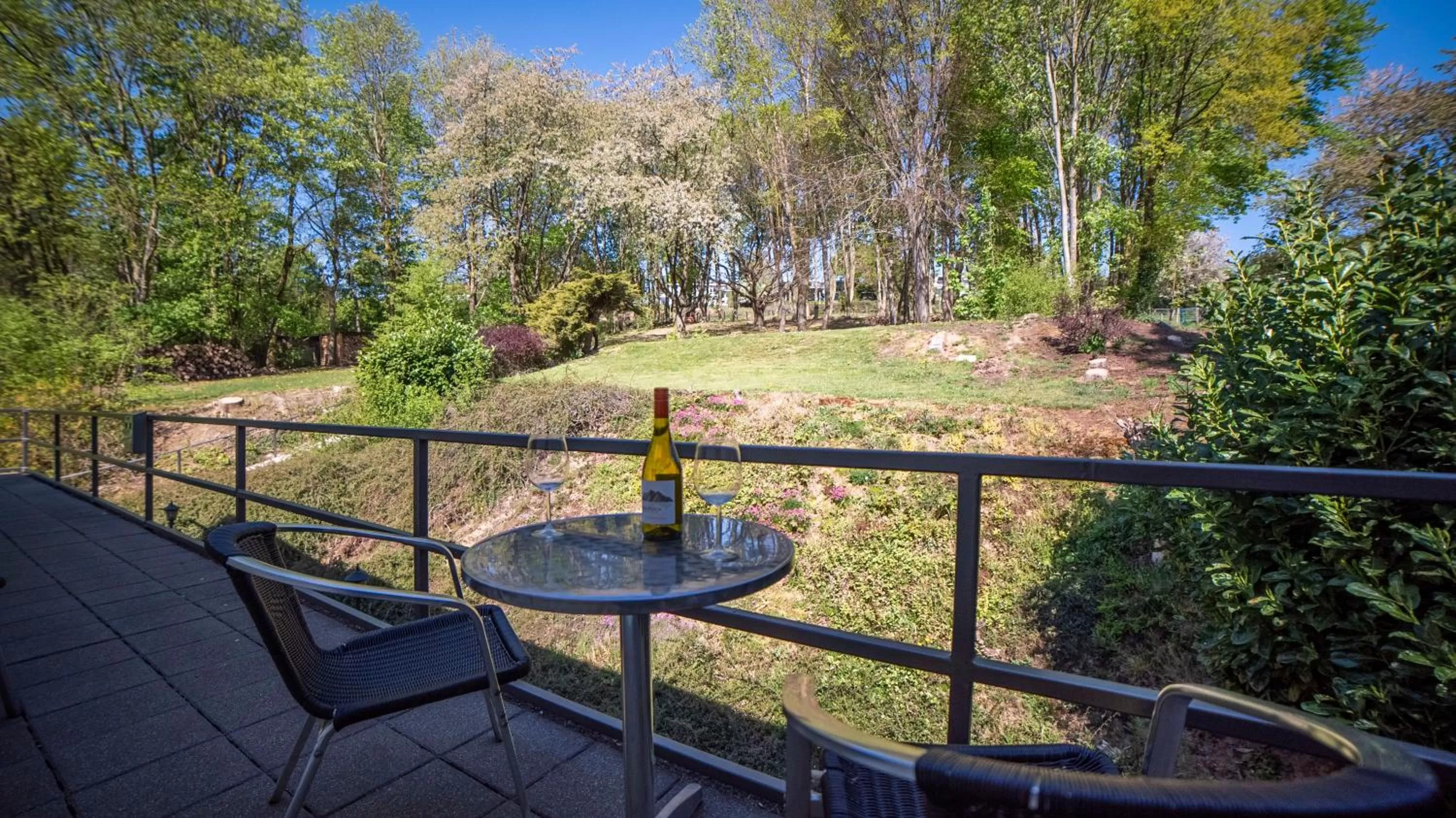 Balcony/Terrace in De Heek