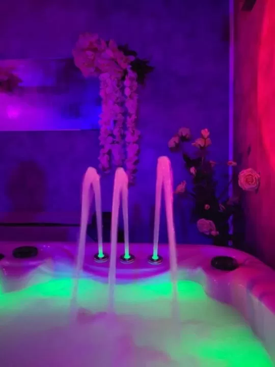 Hot Tub in A l'Orée du Parc